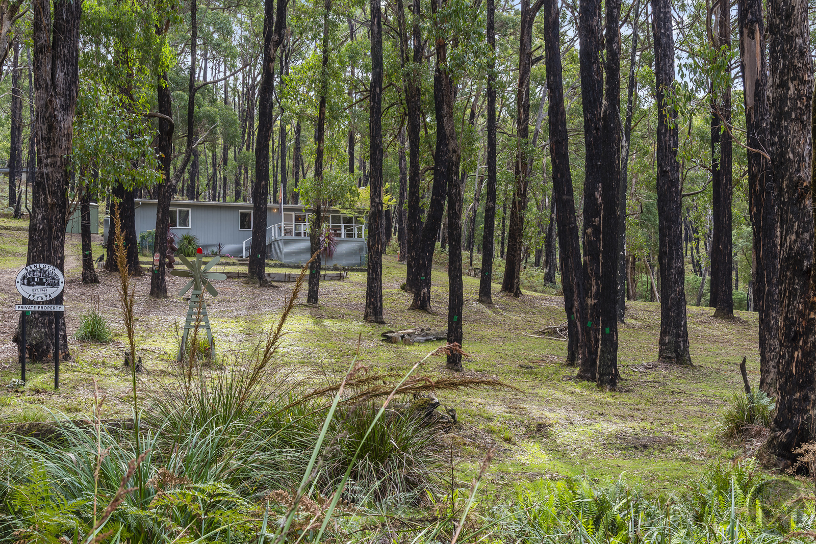 3-bedroom house at 71 Long Ryans Road, Benloch, VIC 3435, Macedon Ranges, Victoria