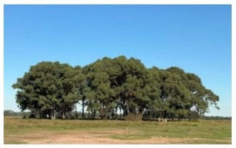 Lots 8, 10 Or 12/30 Summers Drive, Stratford, Vic, 3862 - Image 8