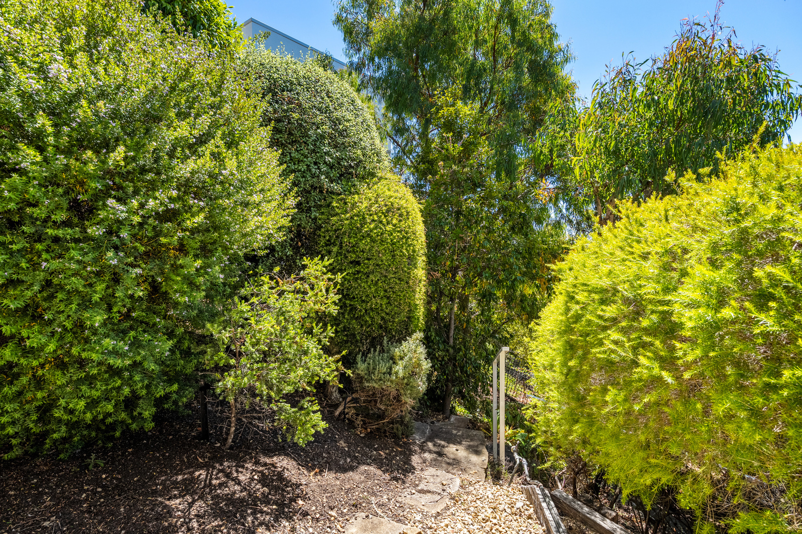 3-bedroom unit at 1/14 Edith Avenue, Sandy Bay, TAS 7005, Hobart, Tasmania