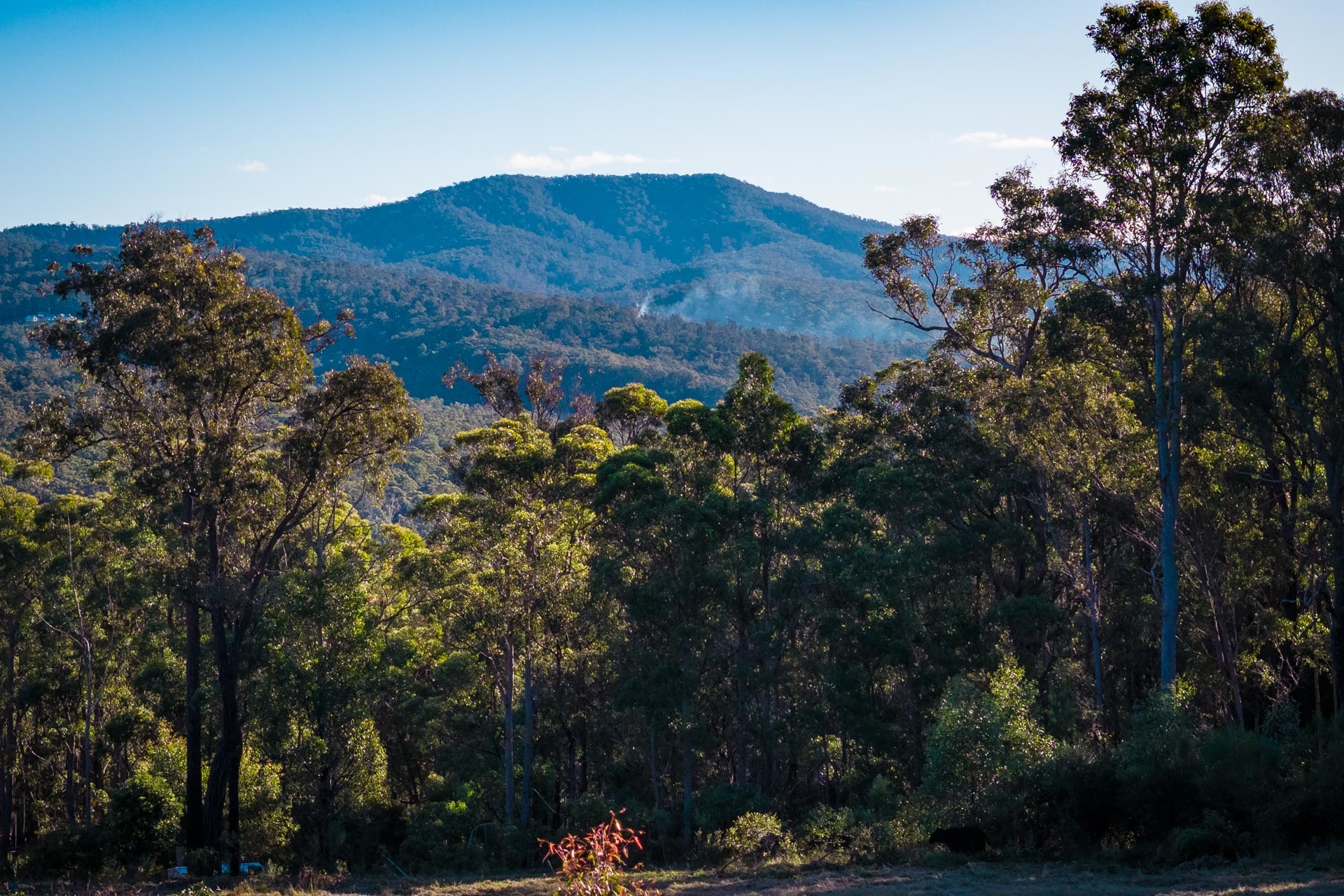 16 Millingandi Short Cut Road, Millingandi, Nsw, 2549 - Image 7