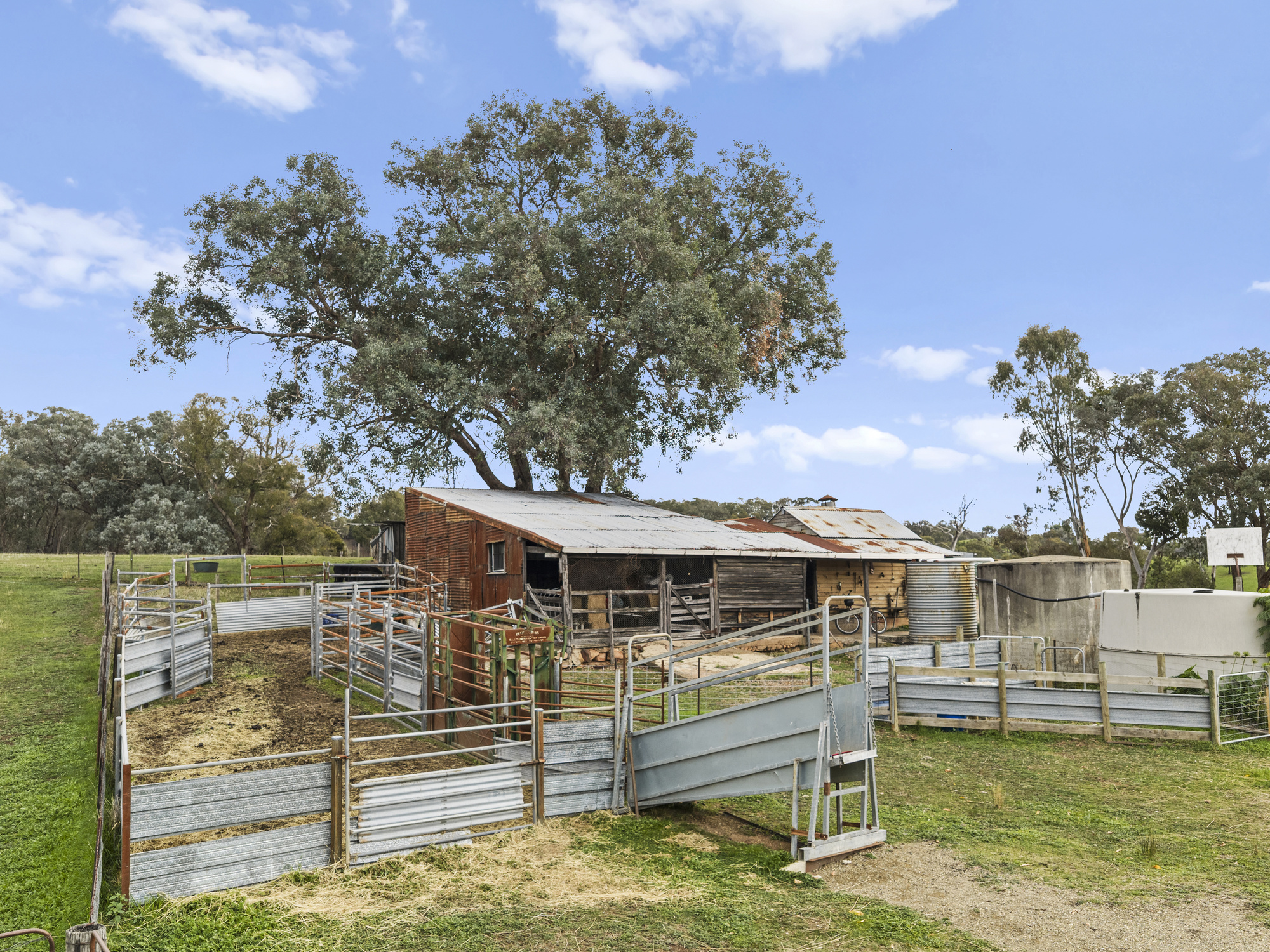 5-bedroom house at 180 Green Road, Lurg, VIC 3673, Benalla, Victoria