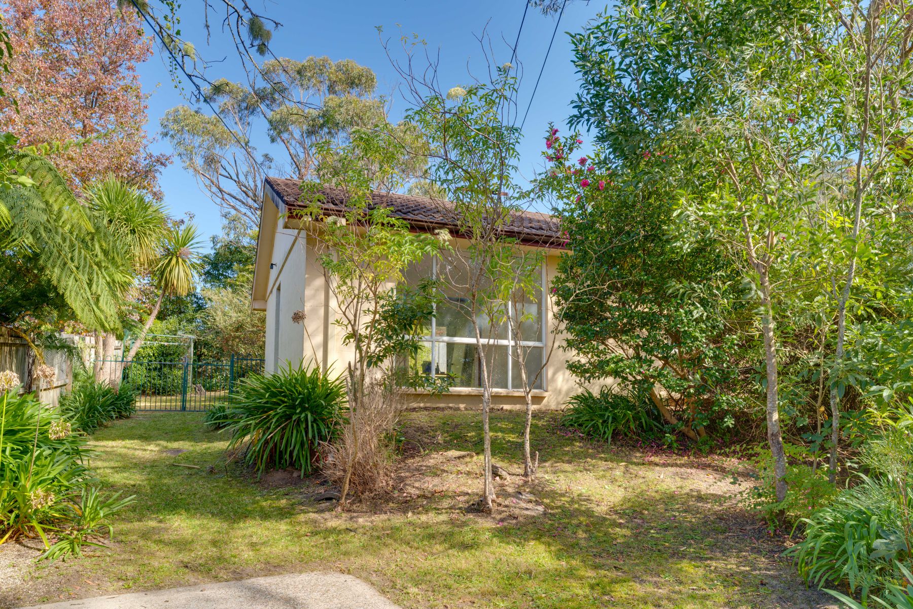 37 WESTBOURNE AVENUE, Wentworth Falls NSW 2782 - Image 1