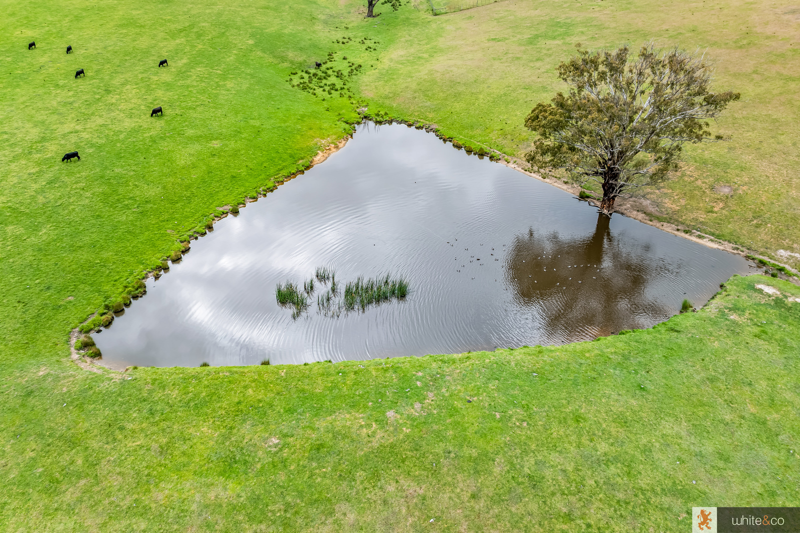 210 Dalls Road, Whittlesea, Vic, 3757 - Image 5