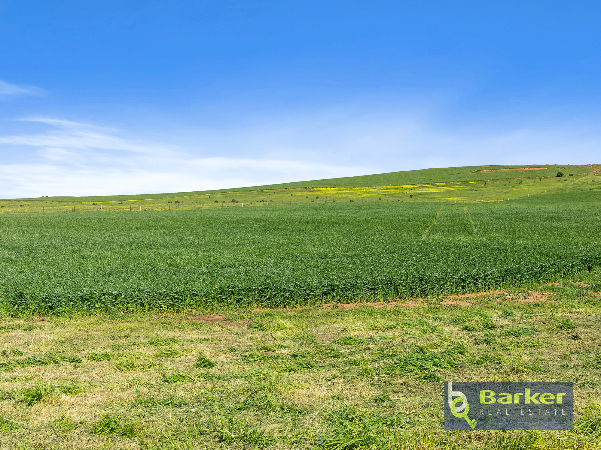 4-bedroom house at 591 WORLDS END HIGHWAY, Eudunda SA 5374, Goyder, South Australia