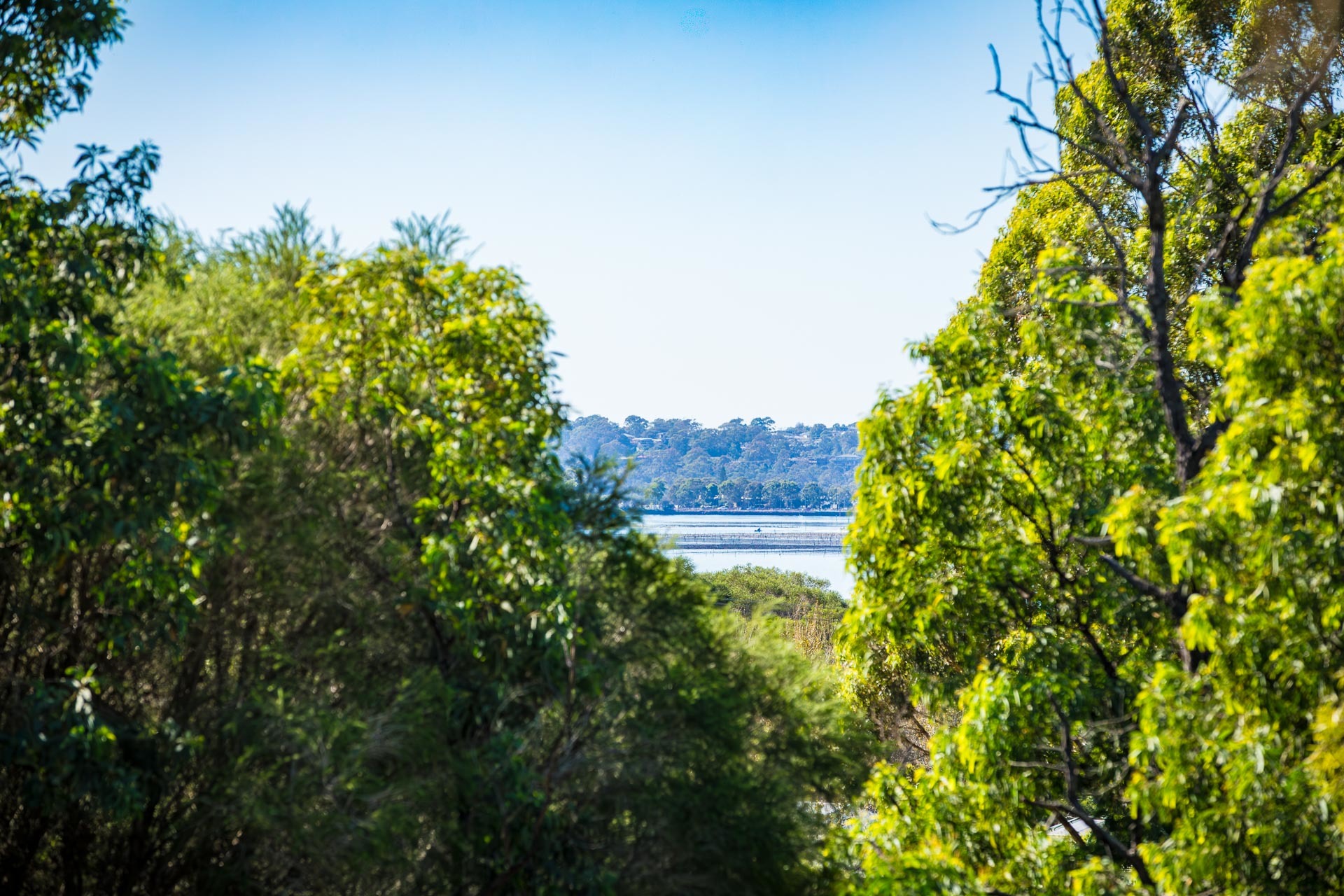 4-bedroom house at 20 Stringybark Place, Millingandi, NSW 2549, Bega Valley, New South Wales