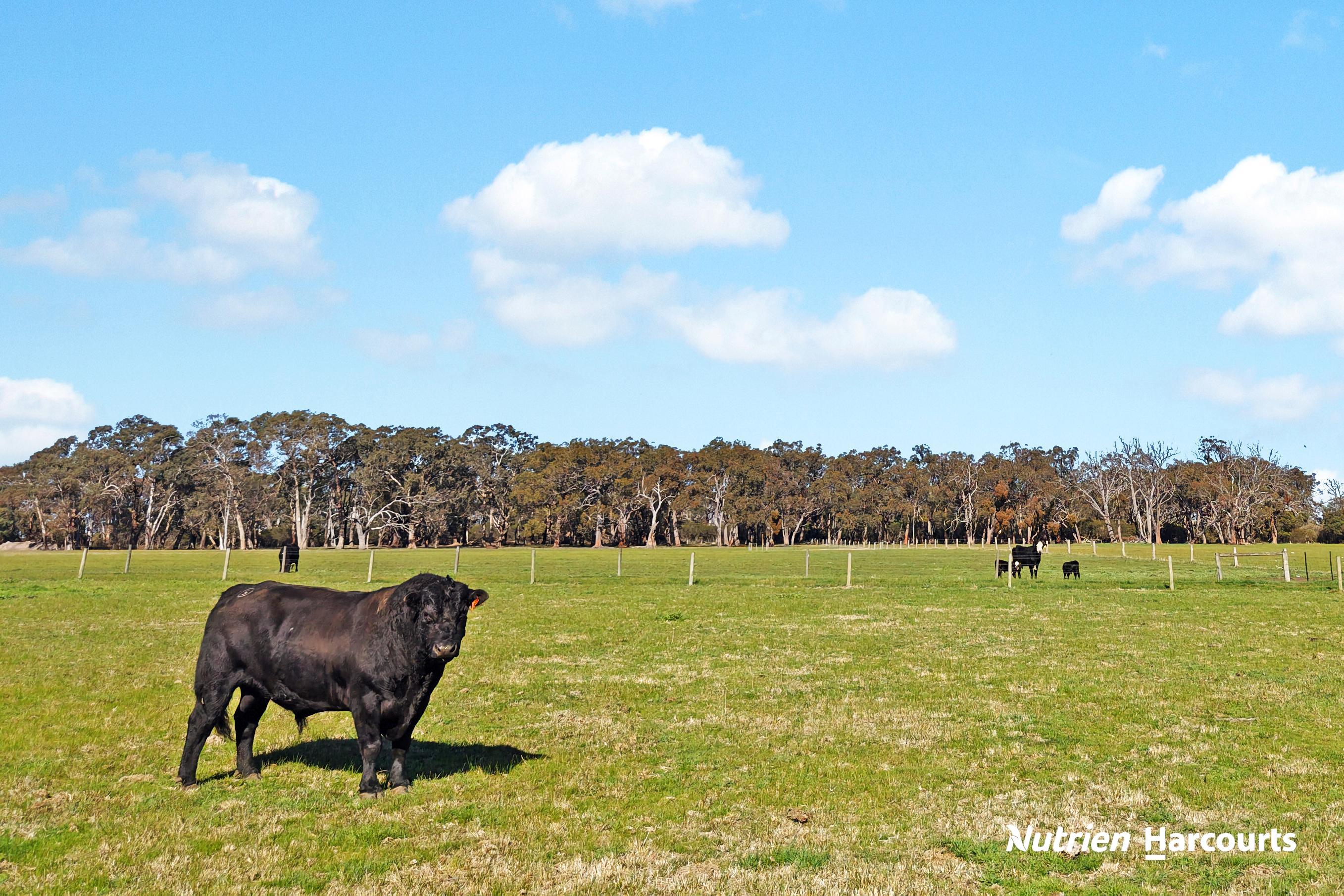 3-bedroom house at 230 Old Sale Road, Yarram, VIC 3971, Wellington, Victoria