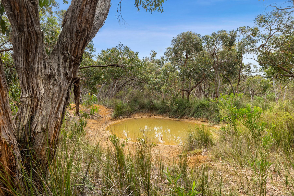 4-bedroom house at 335 Elkington Road, Bellbrae, Vic, 3228, Surf Coast, Victoria