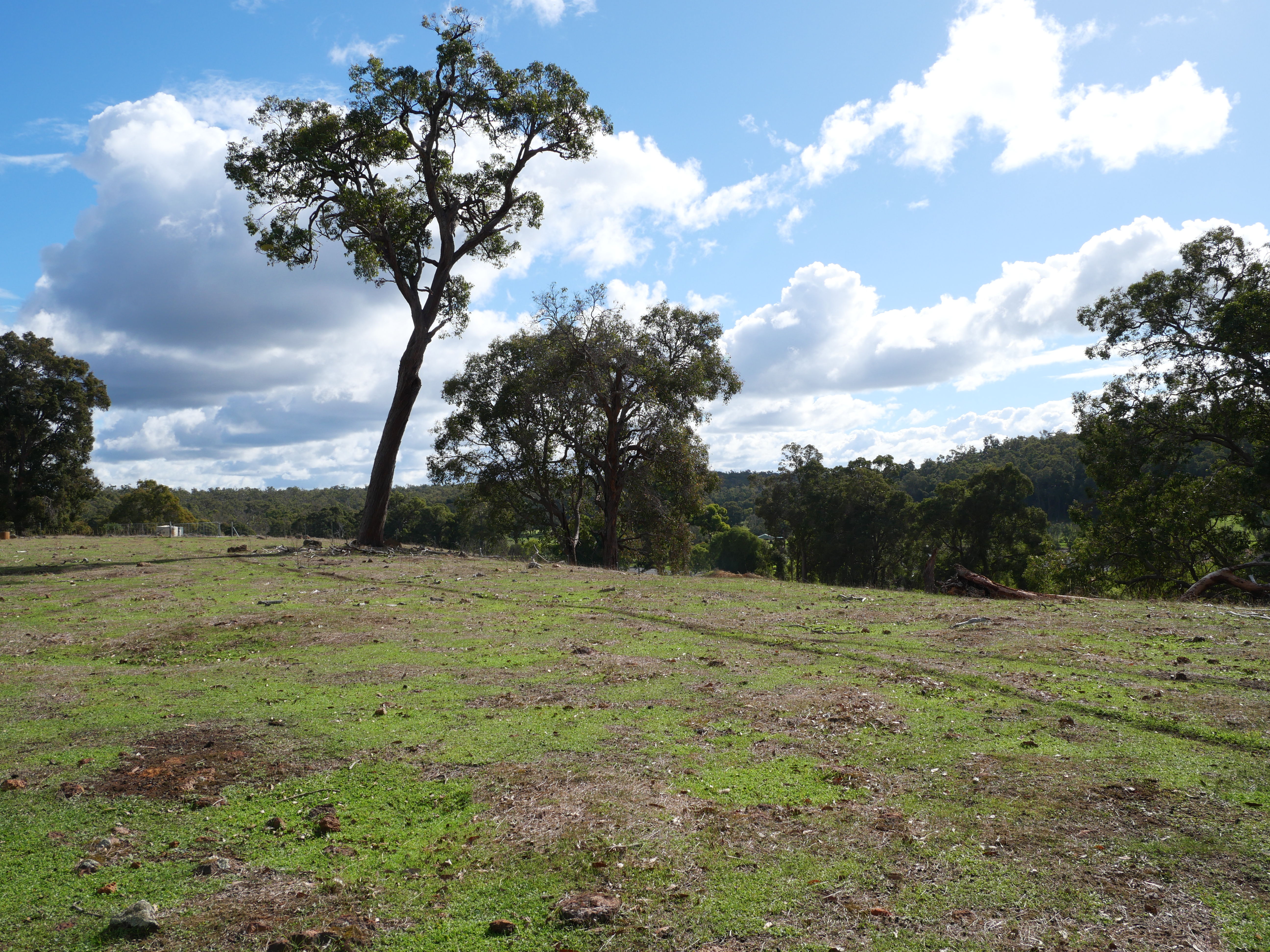 Lot 140 Vasse Highway, Nannup, Wa, 6275 - Image 6