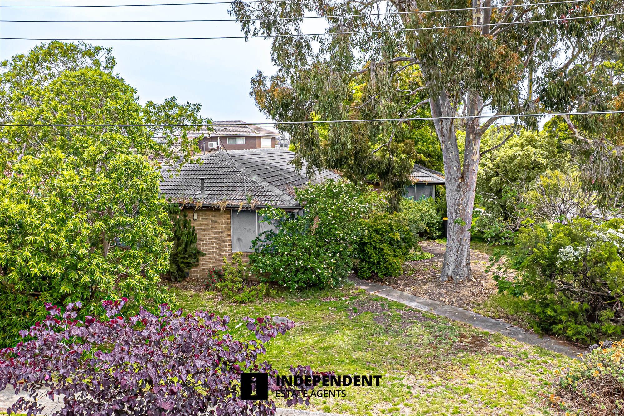 27 SUNRISE DRIVE, Mulgrave VIC 3170 - Image 3