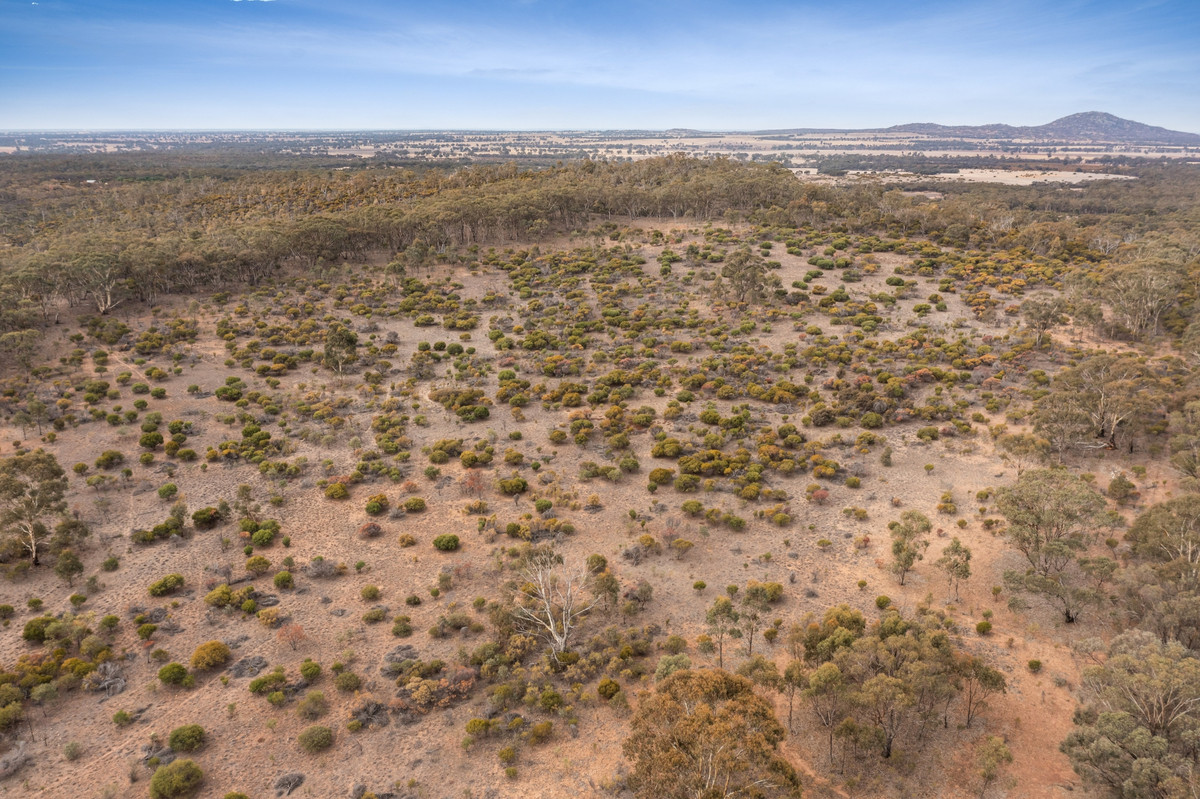 Sec 15 Mitchell Lane, Wedderburn, Vic, 3518 - Image 5