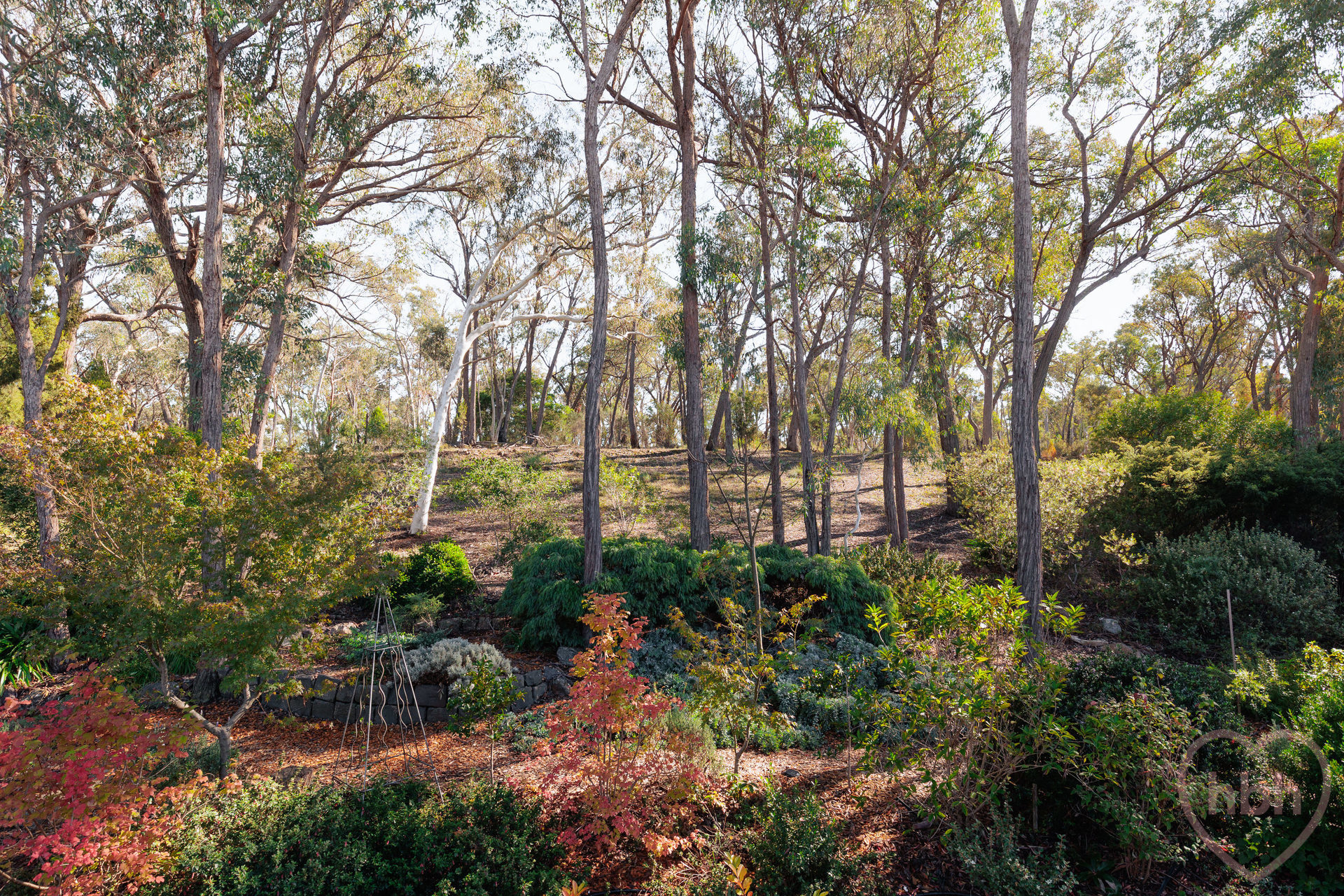 5-bedroom house at 48 Jaeger Circuit, Bruce, ACT 2617, Unincorporated Act, Australian Capital Territory