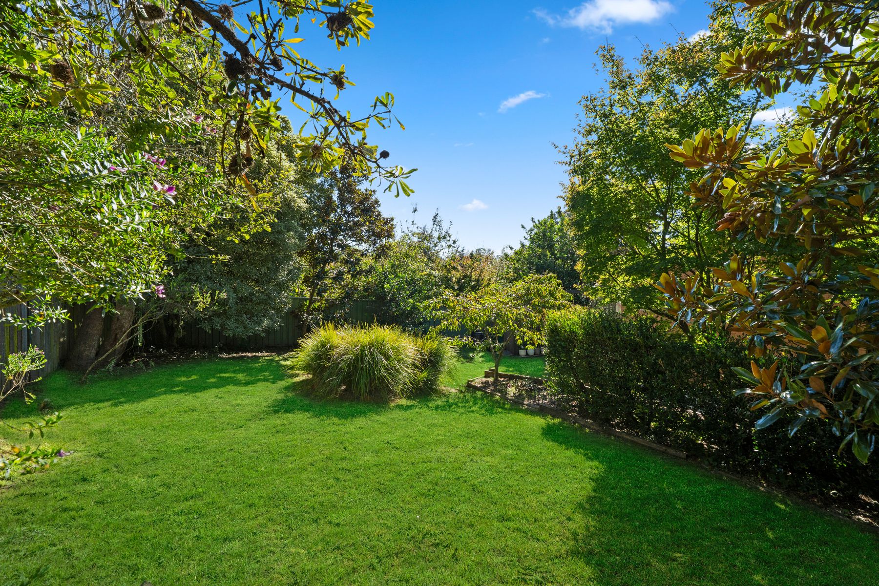 3-bedroom house at 12 David Street, Wentworth Falls, NSW 2782, Blue Mountains, New South Wales