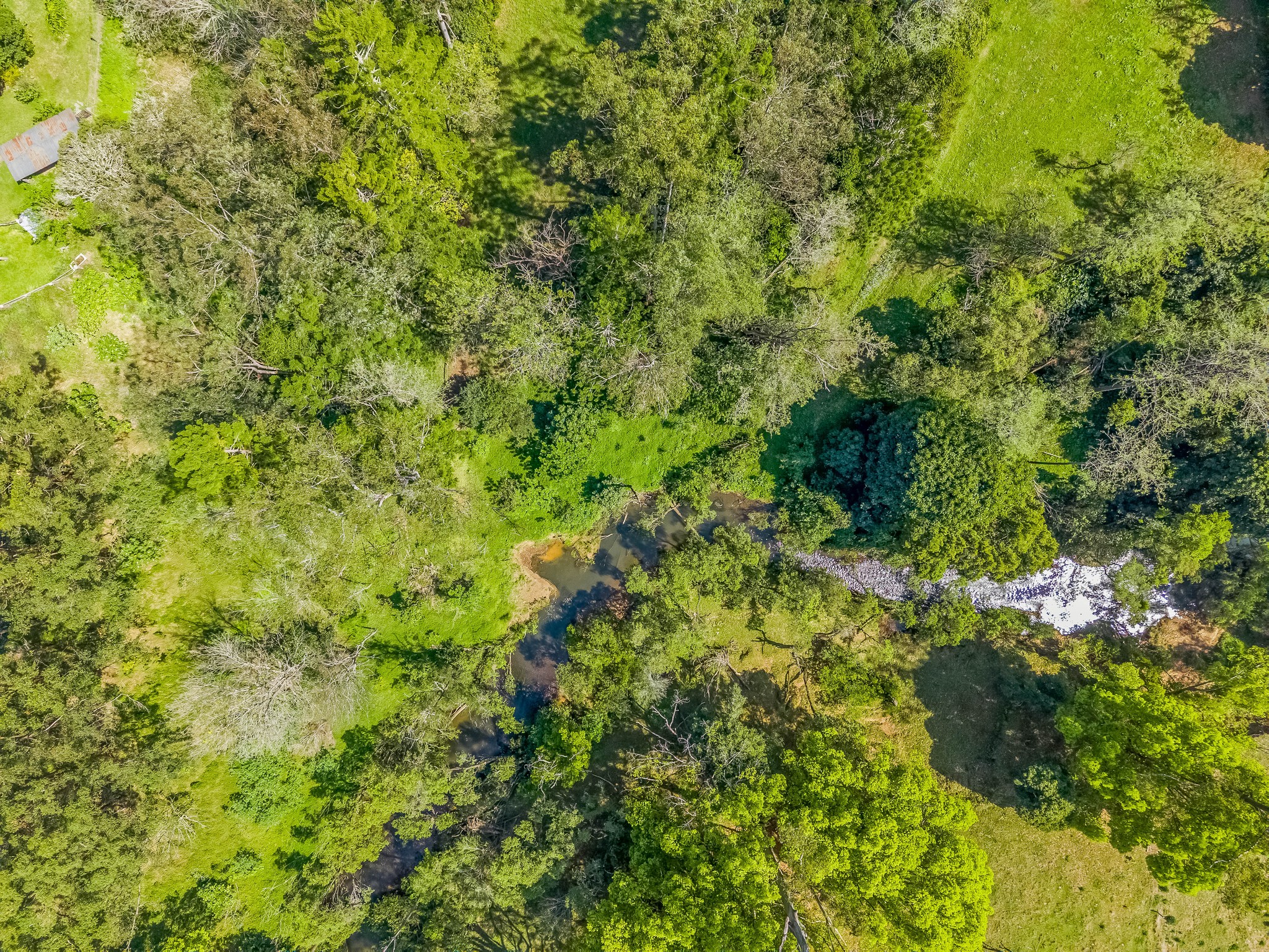 3-bedroom house at 698 Cawongla Road, Larnook, NSW 2480, Lismore, New South Wales