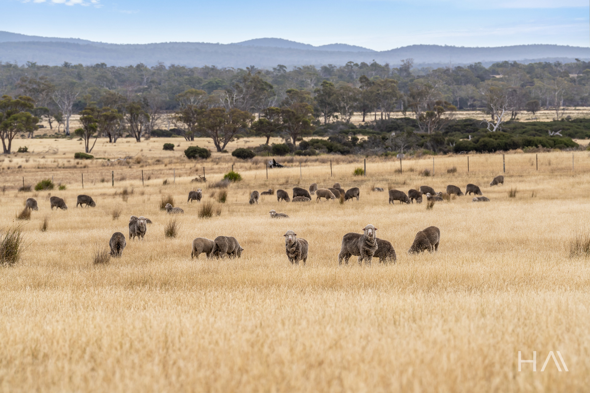 Lot 50 Springs Road, Swansea, Tas, 7190 - Image 6
