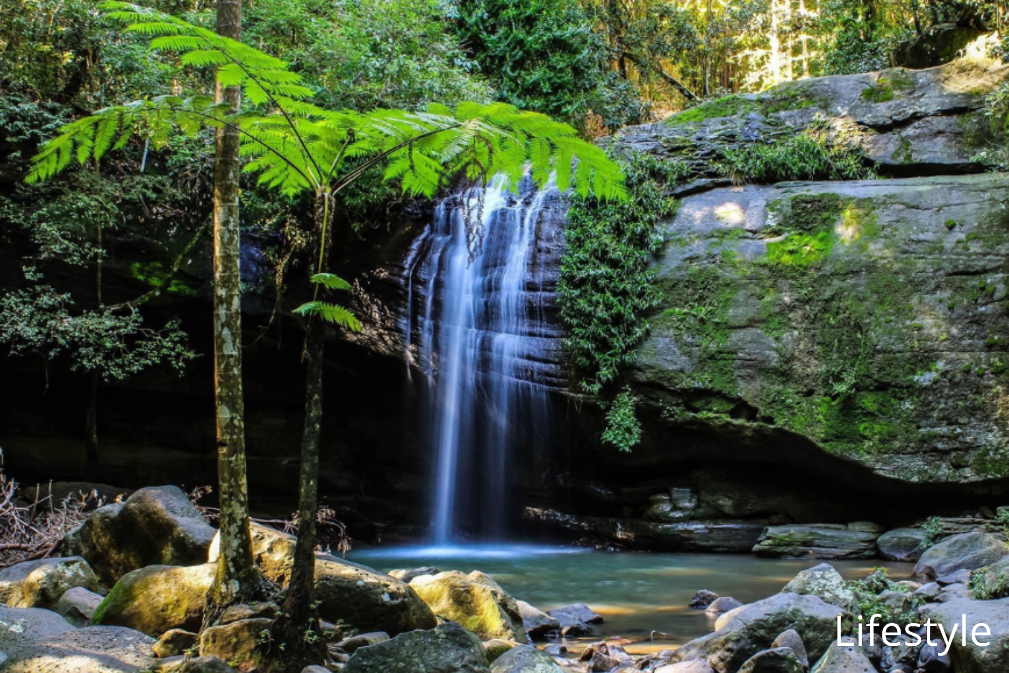 3-bedroom house at 36-38 Millstream Court, Buderim, Qld, 4556, Sunshine Coast, Queensland