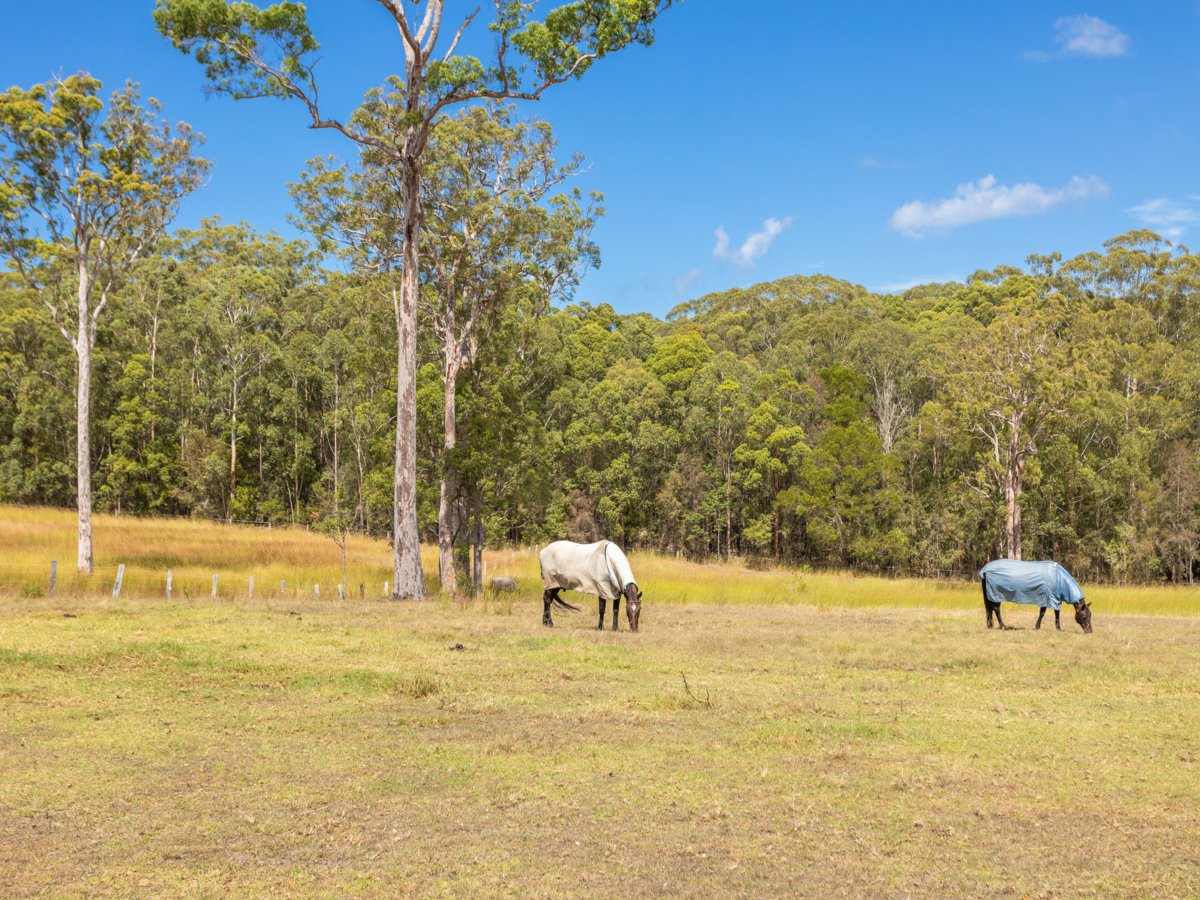 3-bedroom house at 16 Ruprechts Road, Mitchells Island, NSW 2430, Mid-Coast, New South Wales