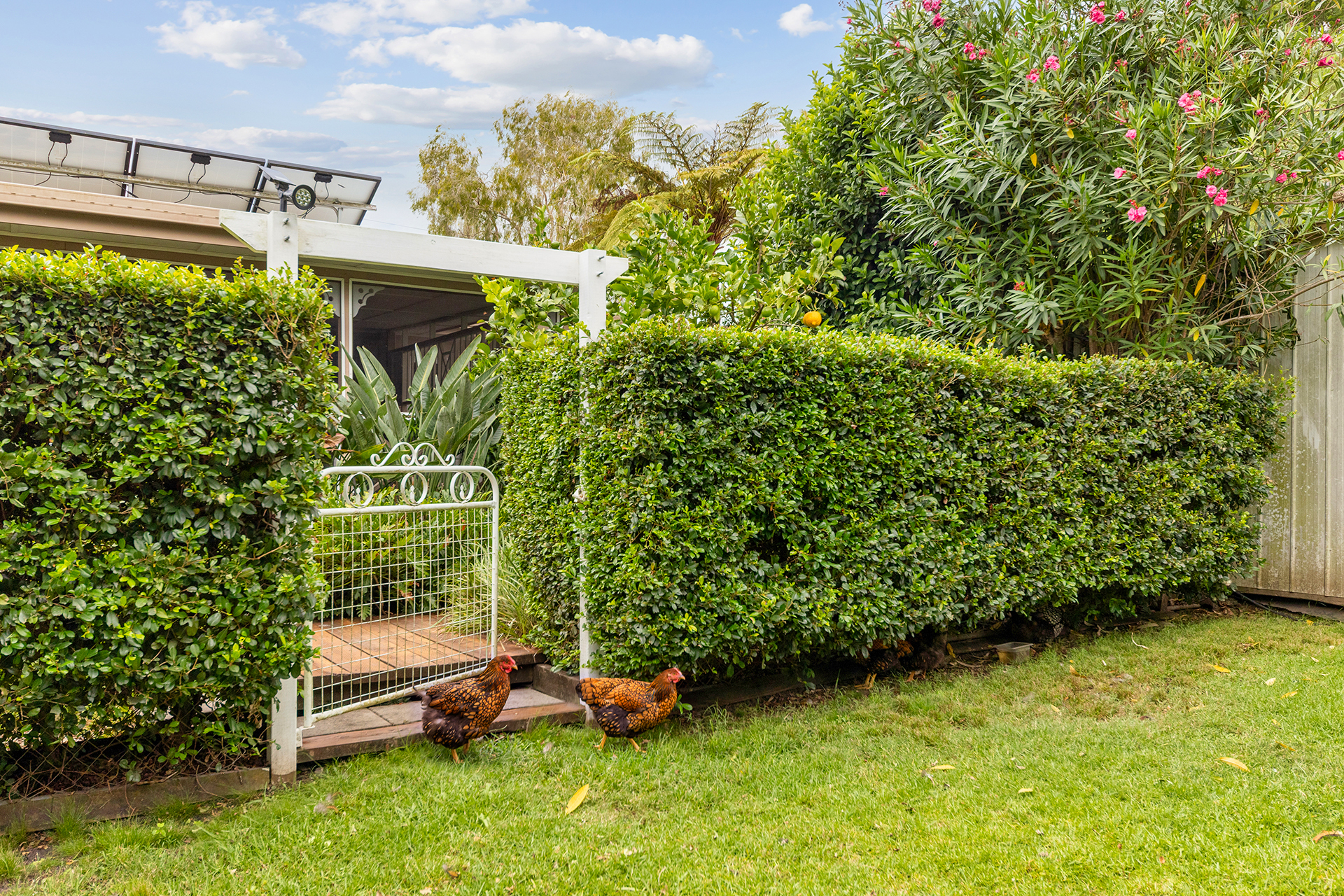 3-bedroom house at 31 Coldstream Street, Ulmarra, Nsw, 2462, Clarence Valley, New South Wales