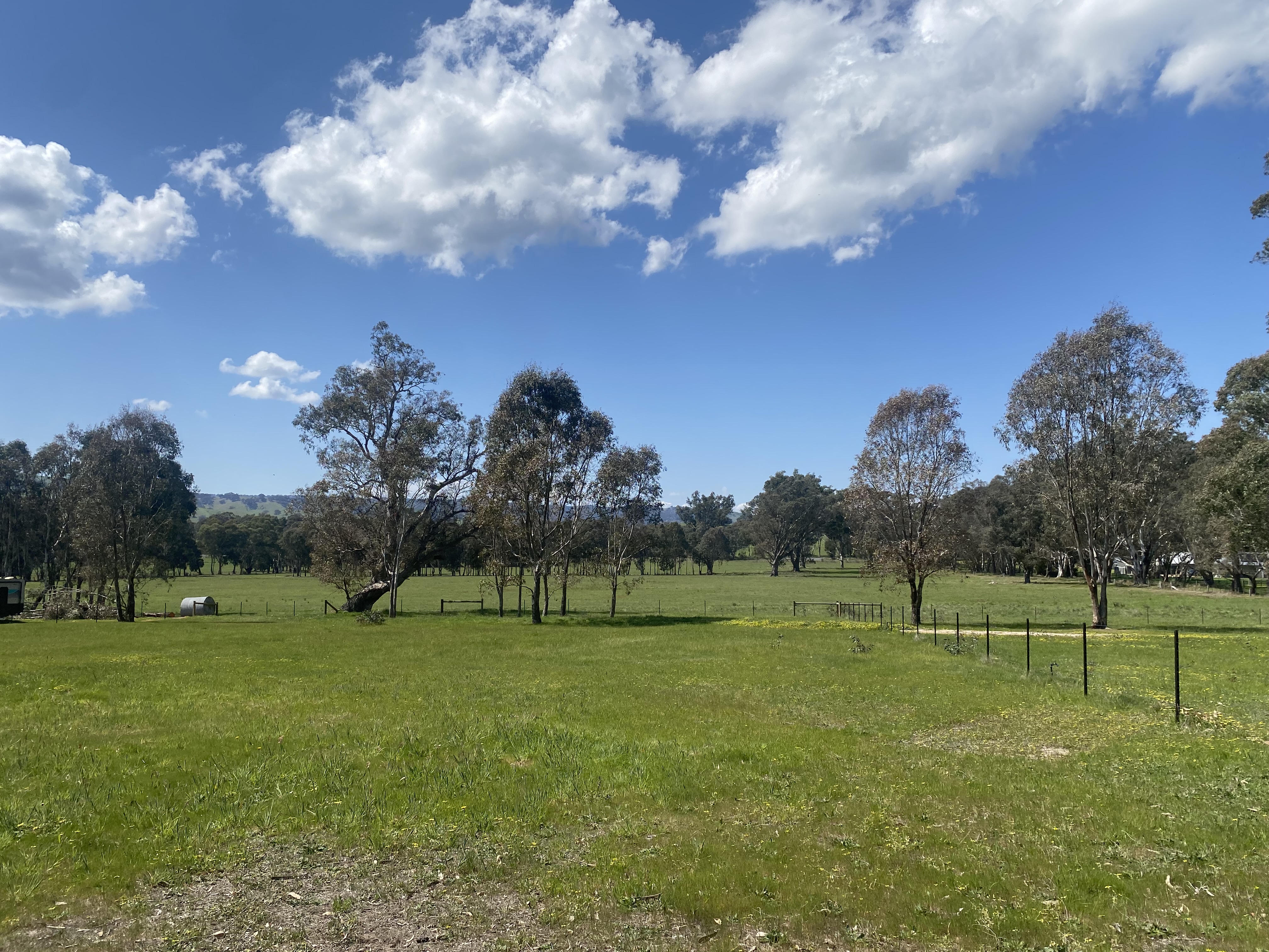 20 Bainbridge Way, Alexandra, VIC 3714 - Image 5