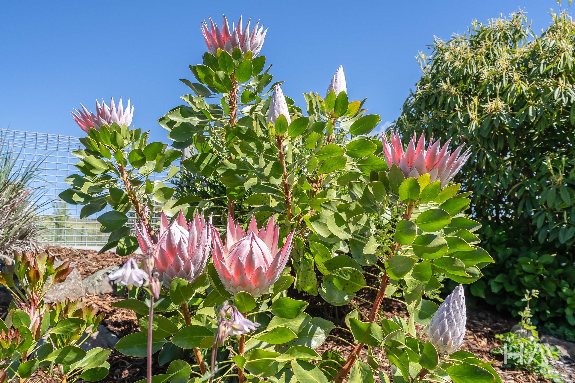 4-bedroom house at 11 JAMES STREET, Forth TAS 7310, Devonport, Tasmania