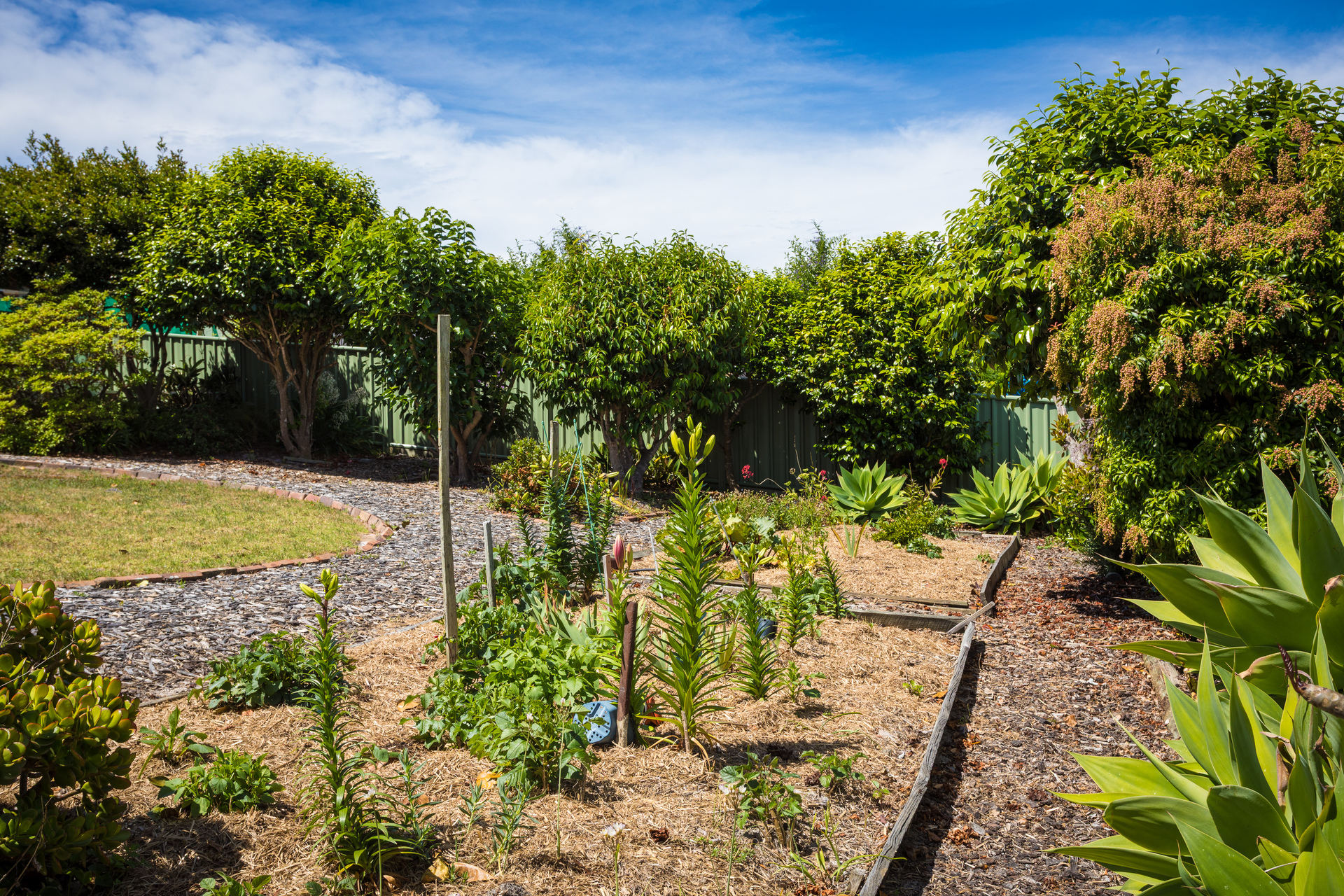 3-bedroom house at 14 Telopea Crescent, Tura Beach, NSW 2548, Bega Valley, New South Wales