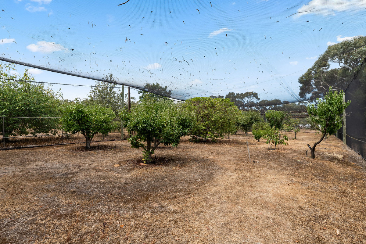 4-bedroom house at 6 Burnside Road, Strathalbyn, SA 5255, Alexandrina, South Australia