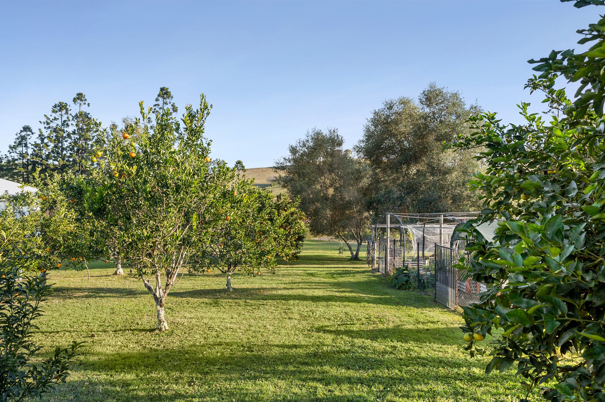 5-bedroom house at 1157 KIN KIN ROAD, Wolvi QLD 4570, Gympie, Queensland