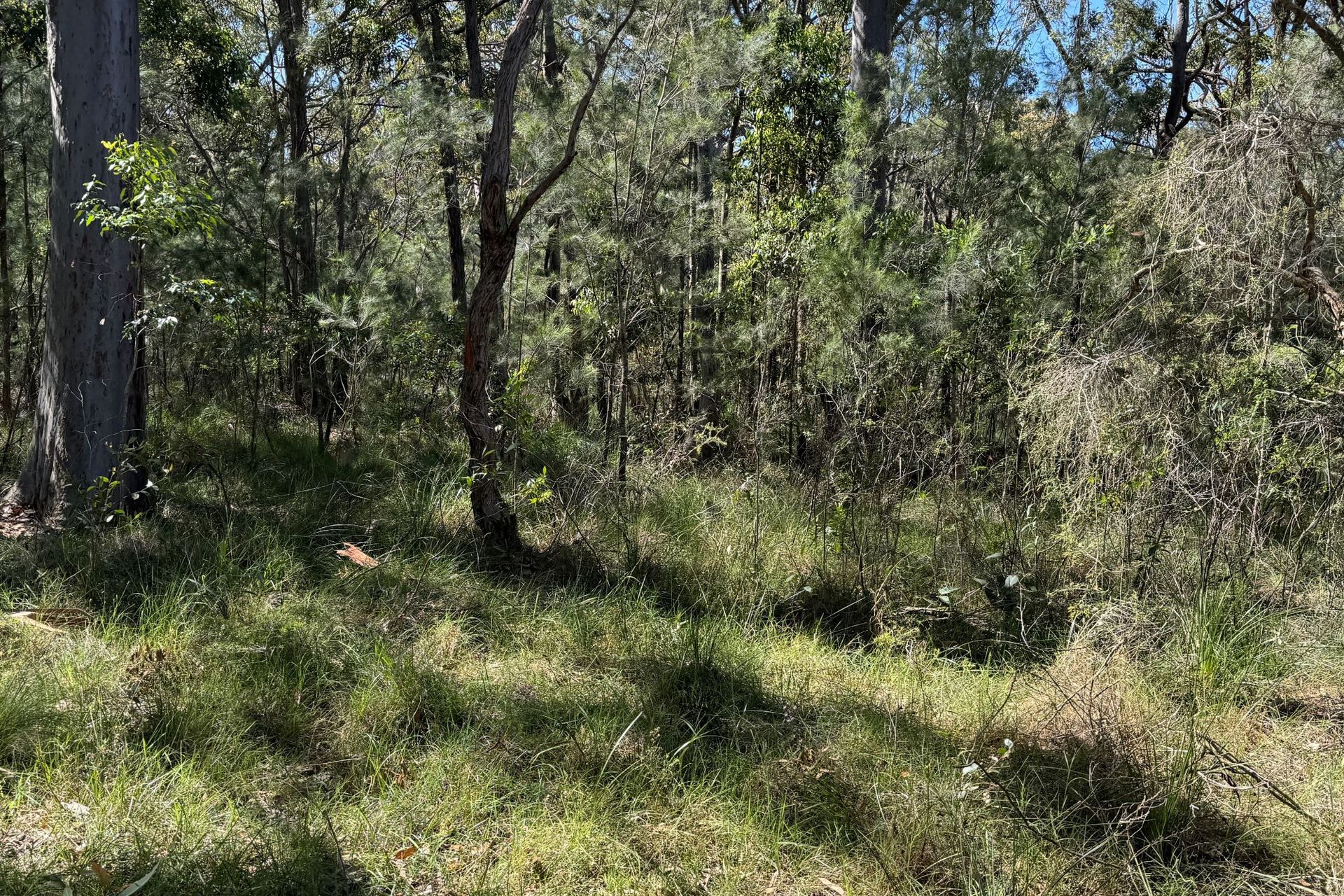 22 Carrington Avenue, Pindimar, Nsw, 2324 - Image 2