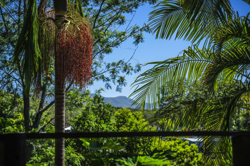 4 Melia Place, Bellingen, NSW 2454 - Image 8