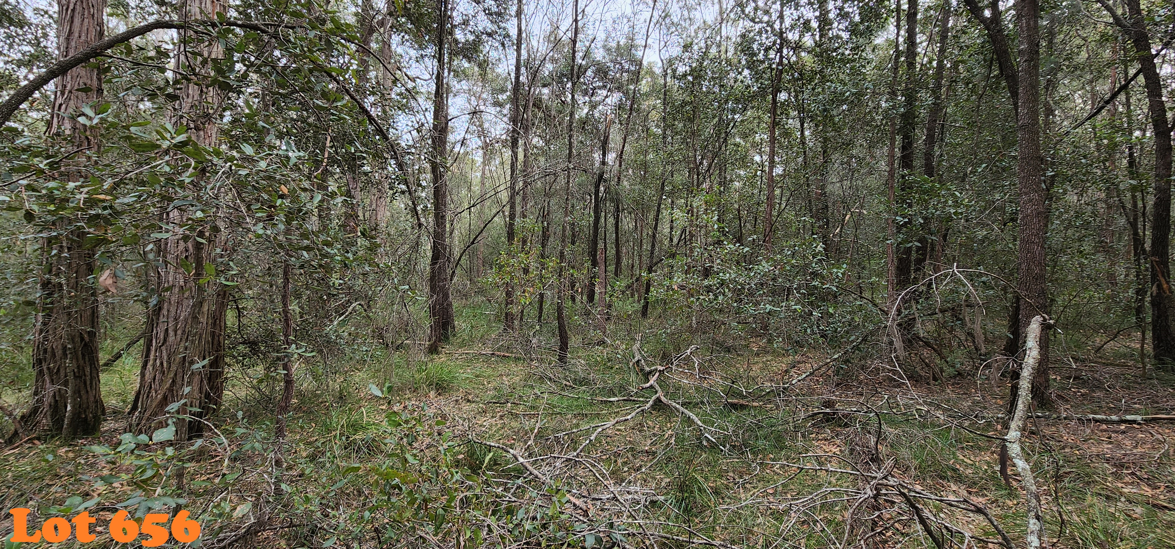 Lot 655,658,660-661, 663 Clarendon Cres, Basin View, Nsw, 2540 - Image 3