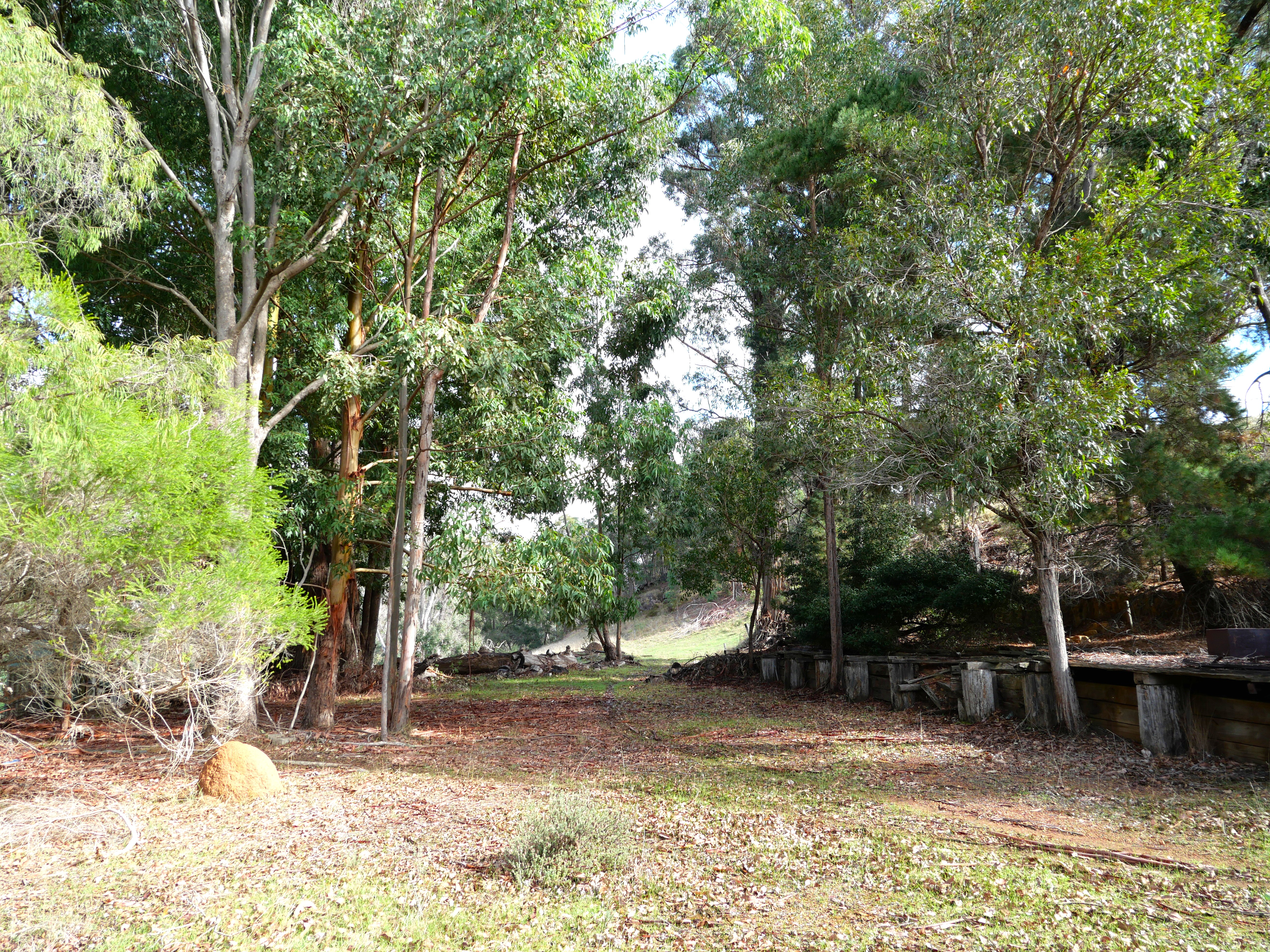 Lot 140 Vasse Highway, Nannup, Wa, 6275 - Image 10