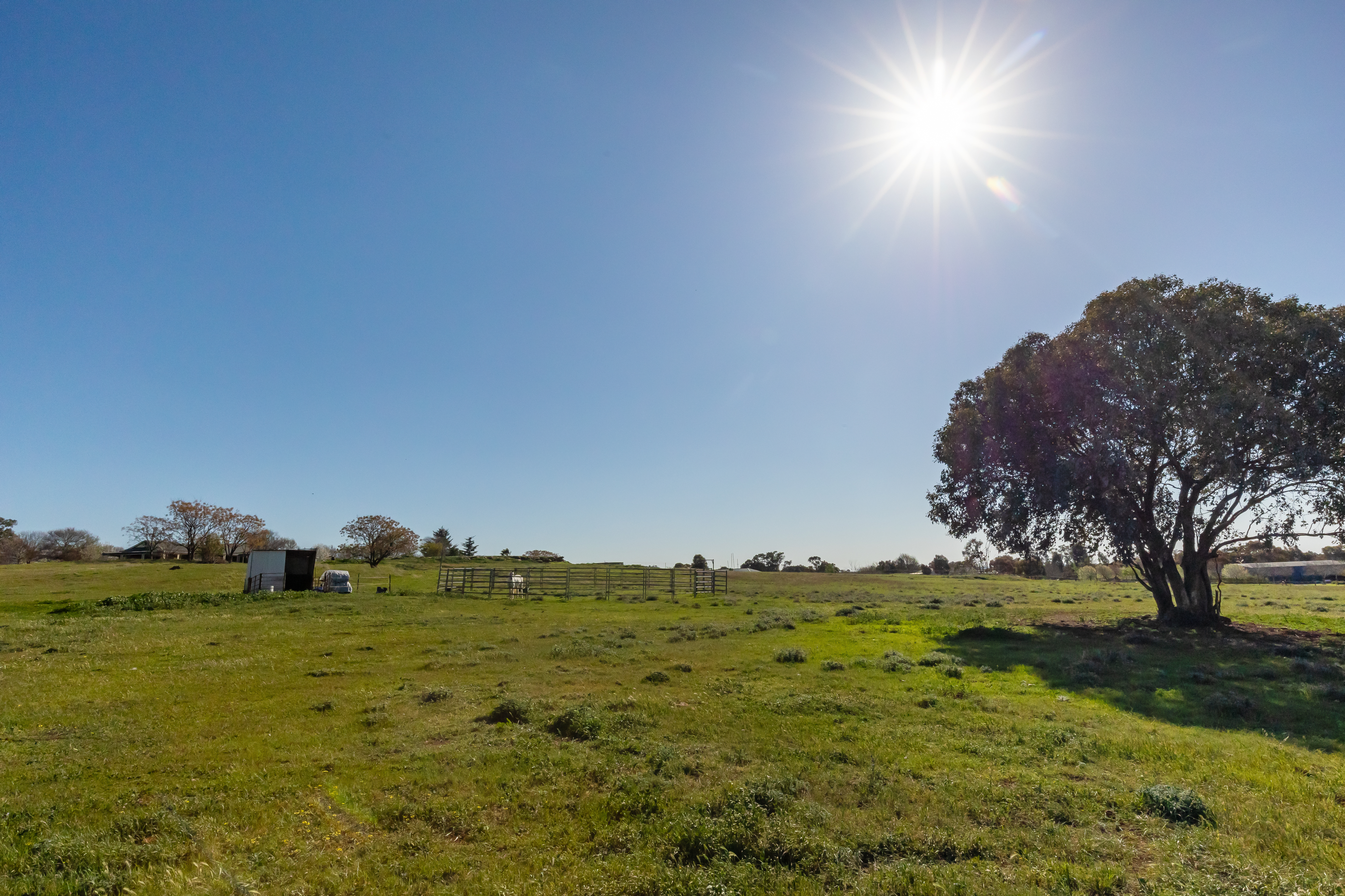 1 Wattle Street, Temora, NSW 2666 - Image 3