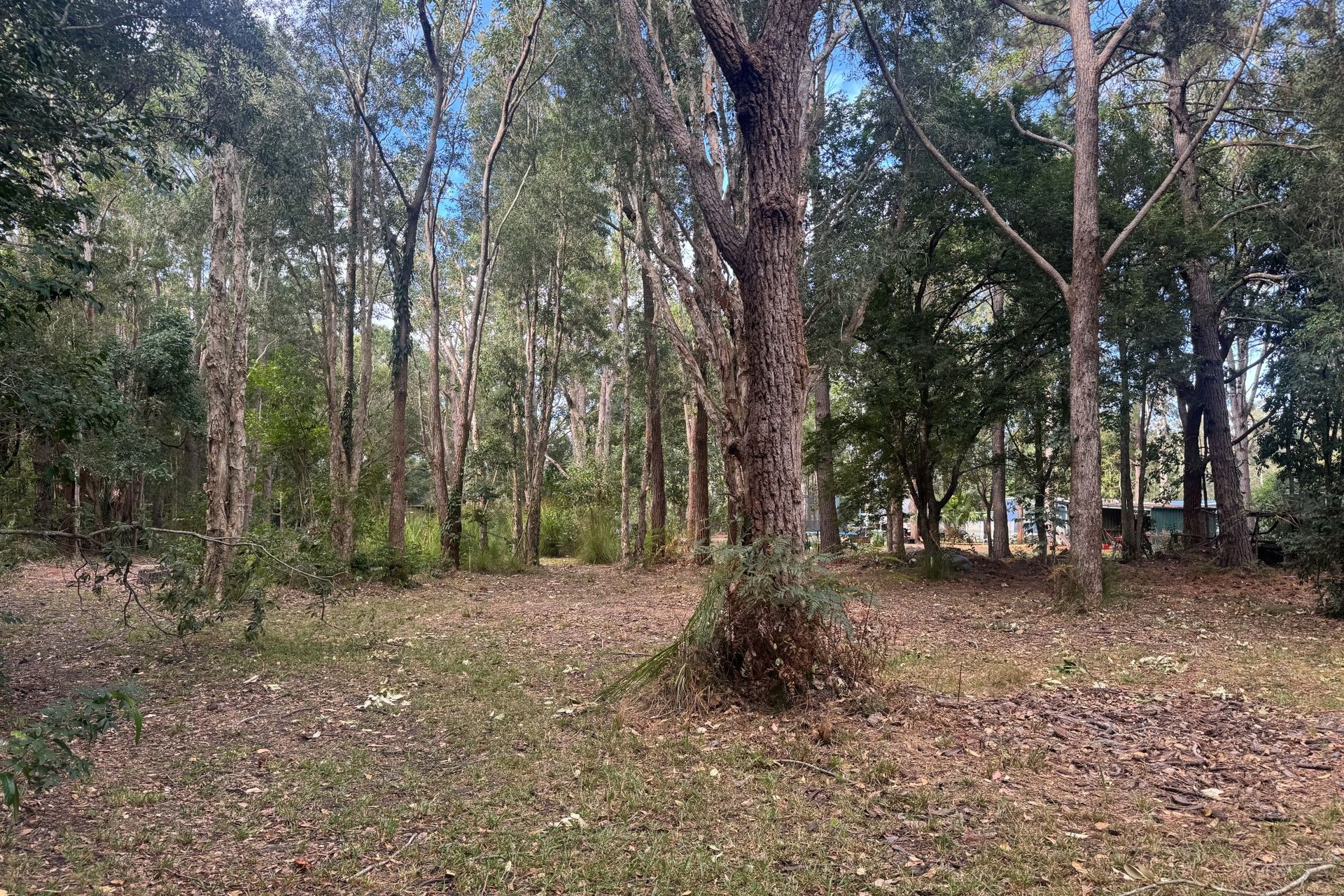 4 CABBA STREET, Pindimar NSW 2324 - Image 3
