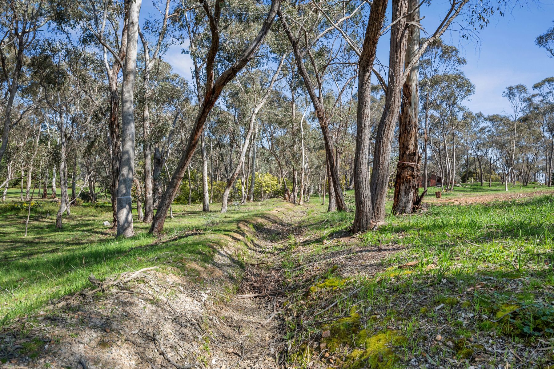 158 Sinclairs Road, Strathfieldsaye, Vic, 3551 - Image 9
