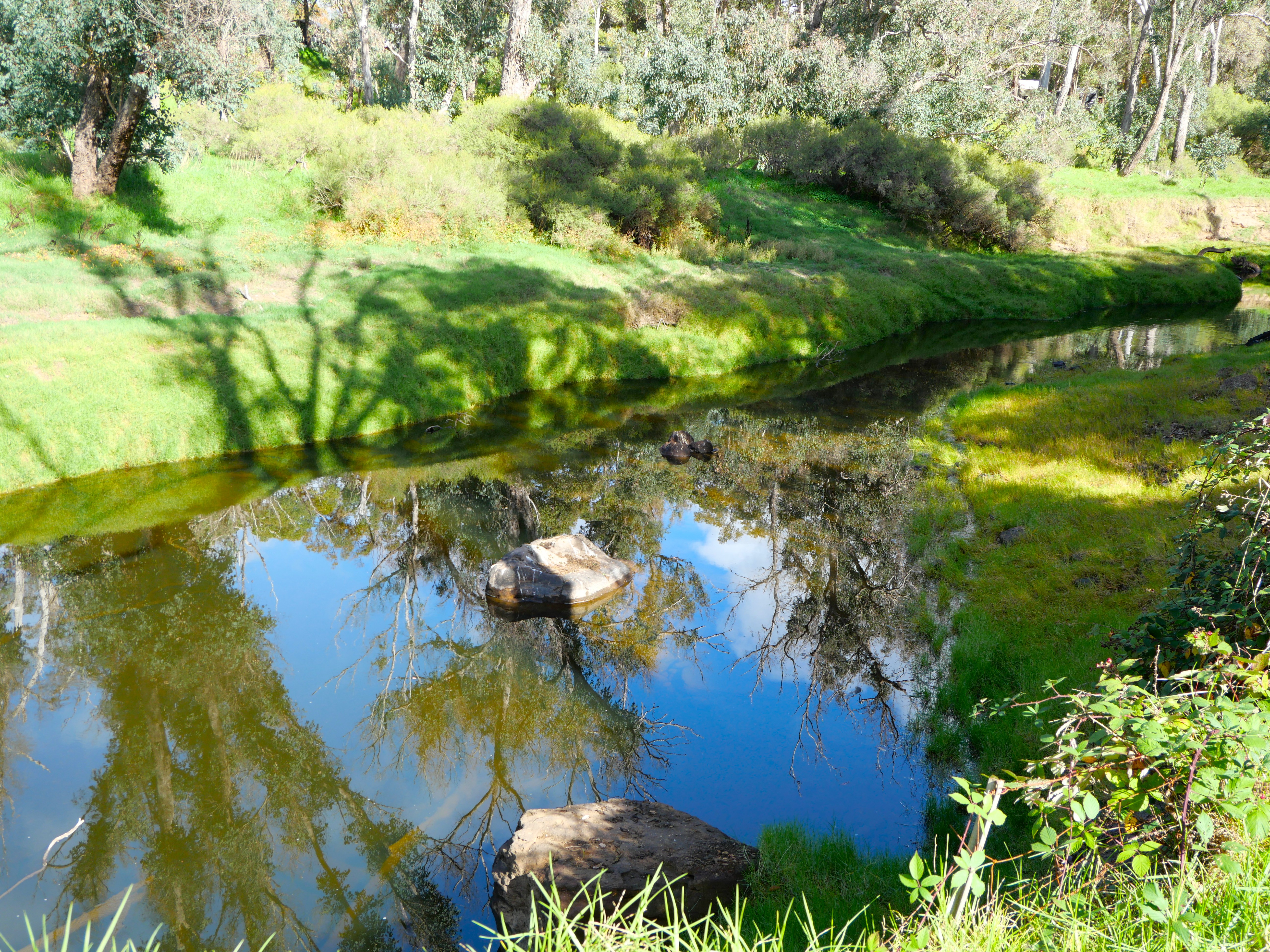 Lot 140 Vasse Highway, Nannup, Wa, 6275 - Image 4