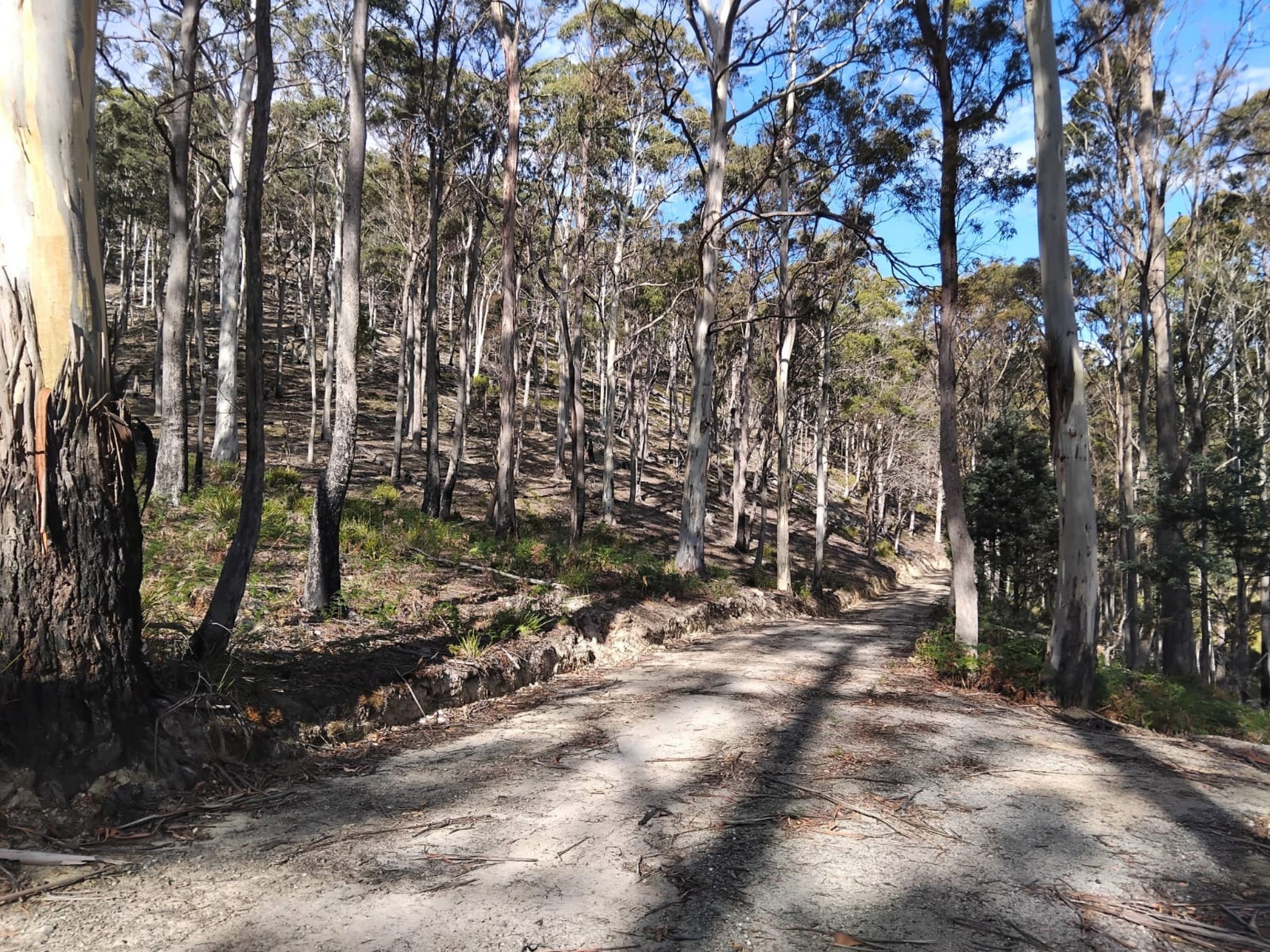 3-bedroom house at 855 TYNE ROAD, Mathinna TAS 7214, Break O'day, Tasmania