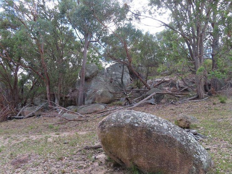 Lot 42 Ravensmoor Road, Stanthorpe, Qld, 4380 - Image 6