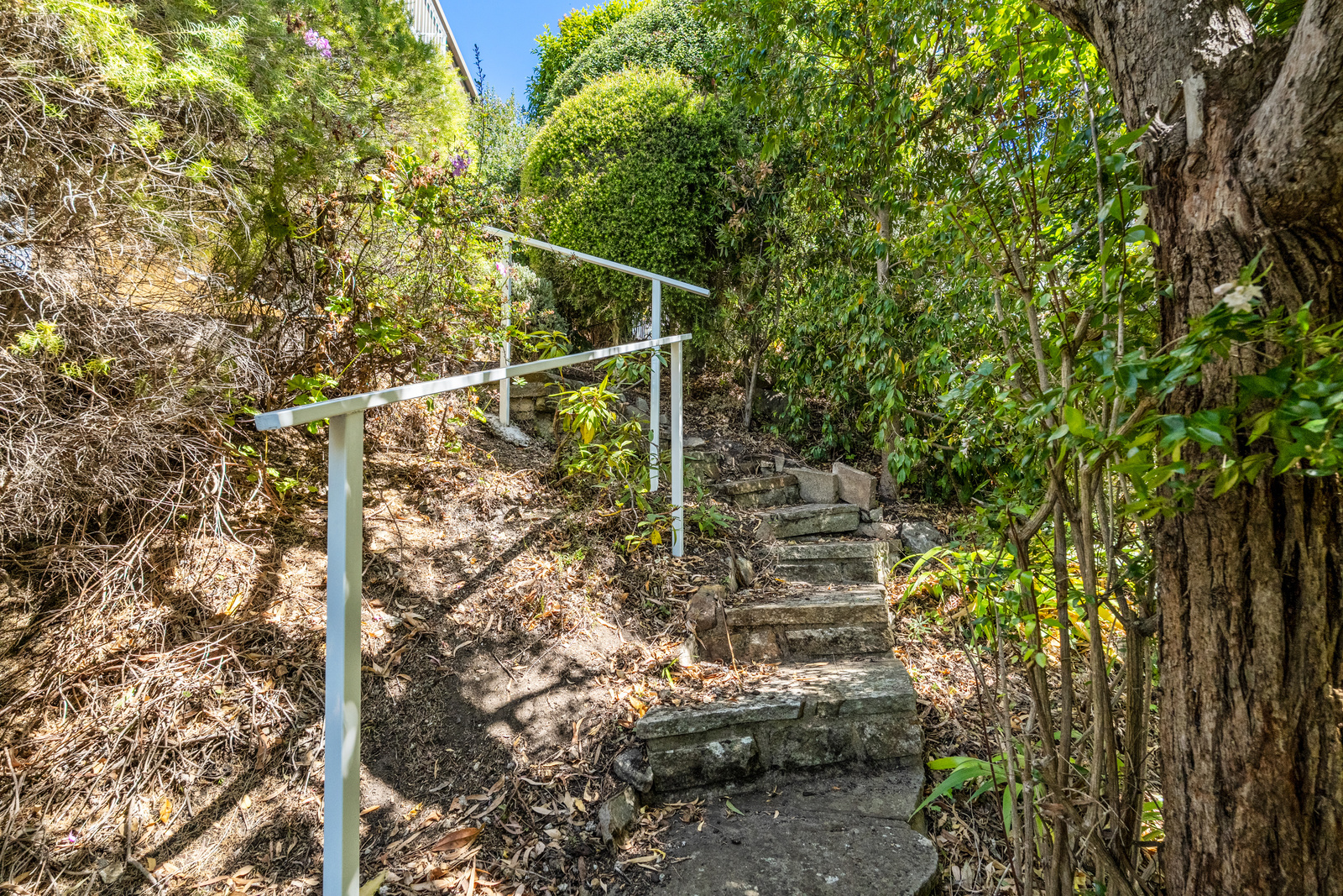 3-bedroom unit at 1/14 Edith Avenue, Sandy Bay, TAS 7005, Hobart, Tasmania