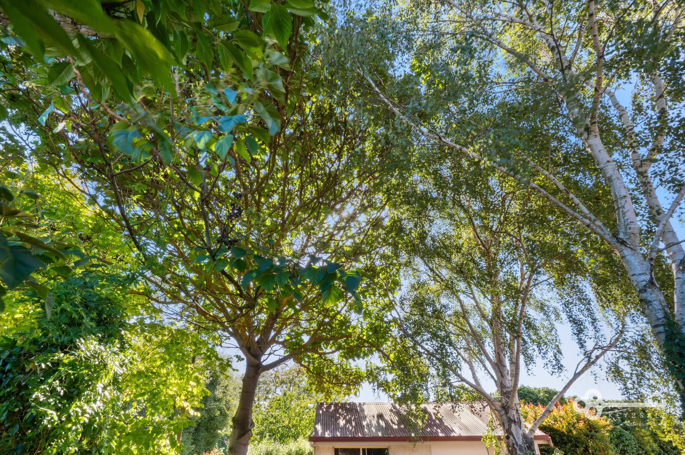 3-bedroom house at 27 Agnes Street, Mount Gambier, SA 5290, Mount Gambier, South Australia