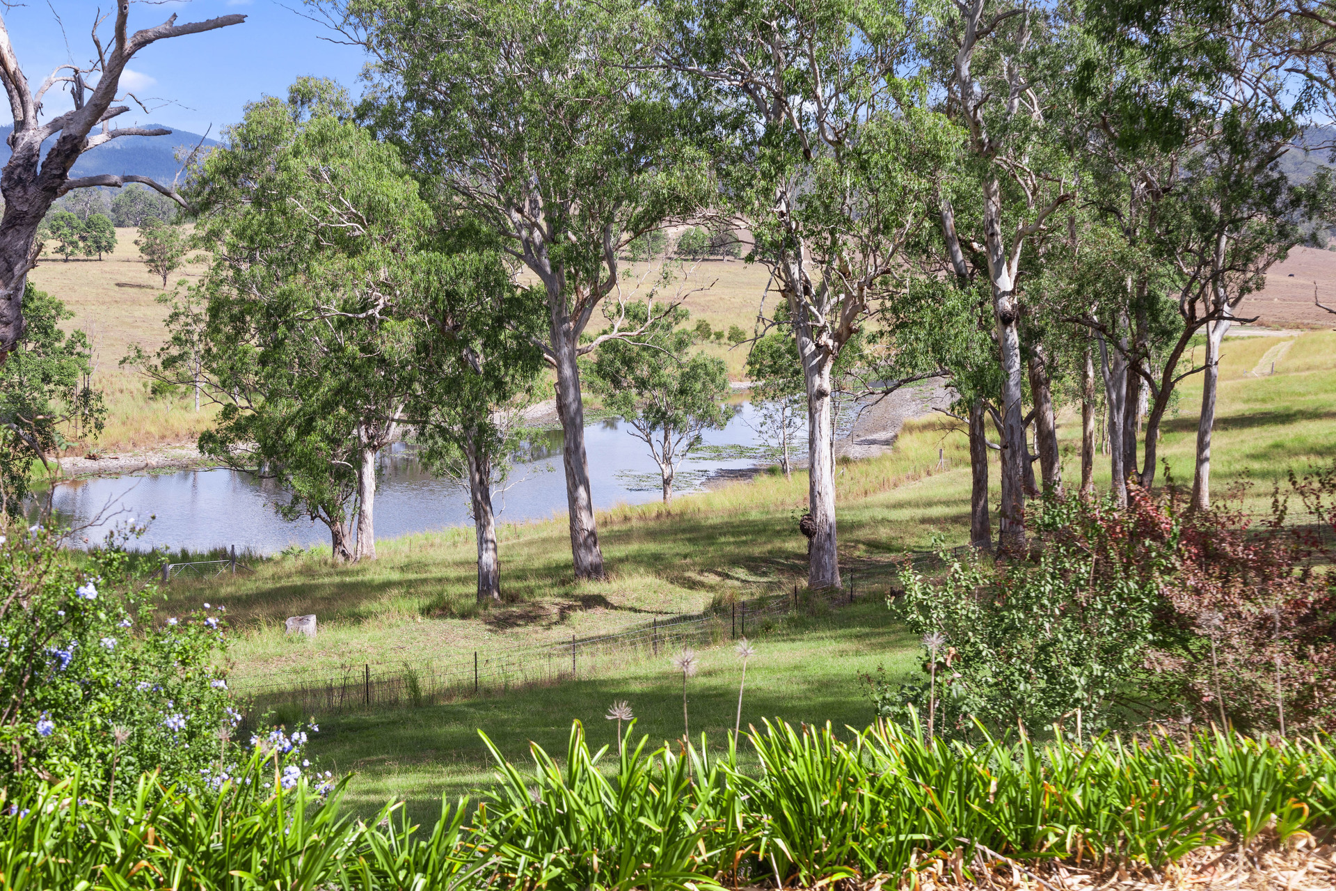 3-bedroom house at 312 Toose Road, Bellbrook, NSW 2440, Kempsey, New South Wales