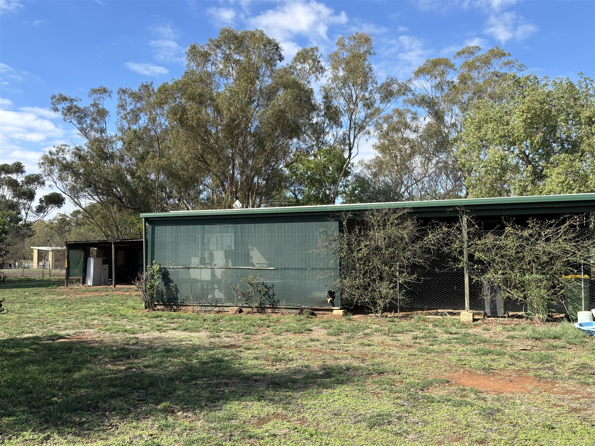 1-bedroom house at 37 Rankin Street, Oaklands, NSW 2646, Federation, New South Wales