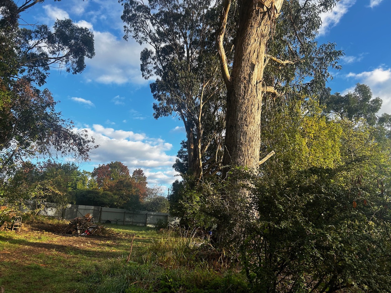5-bedroom house at 12 Station Street, Forrest, Vic, 3236, Colac Otway, Victoria