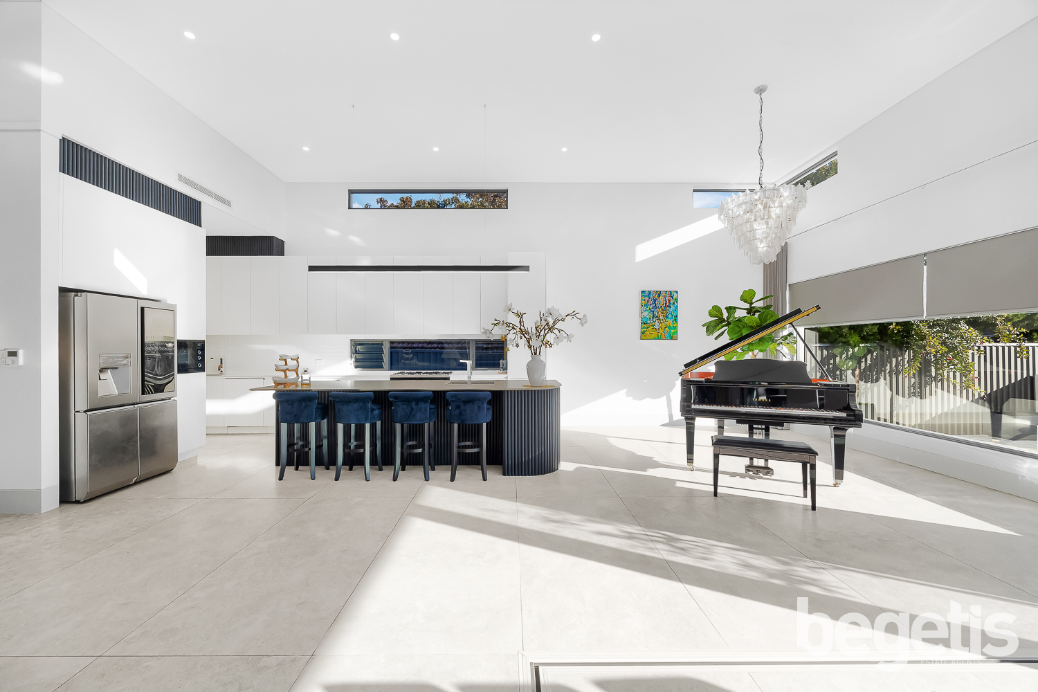 209 HOMEBUSH ROAD, Strathfield NSW 2135 - Image 3
