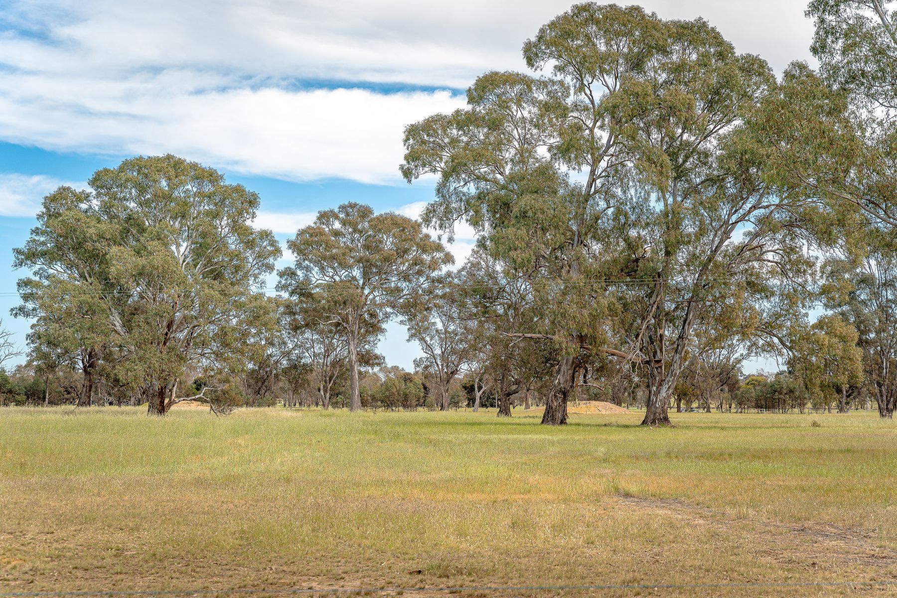 47 Rehes Lane, Goornong, Vic, 3557 - Image 7