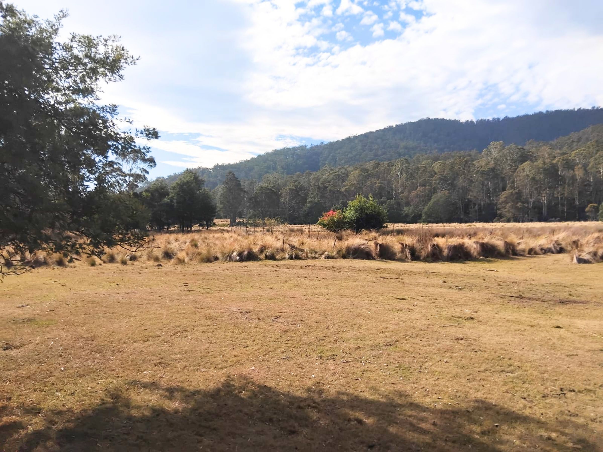 3-bedroom house at 855 TYNE ROAD, Mathinna TAS 7214, Break O'day, Tasmania