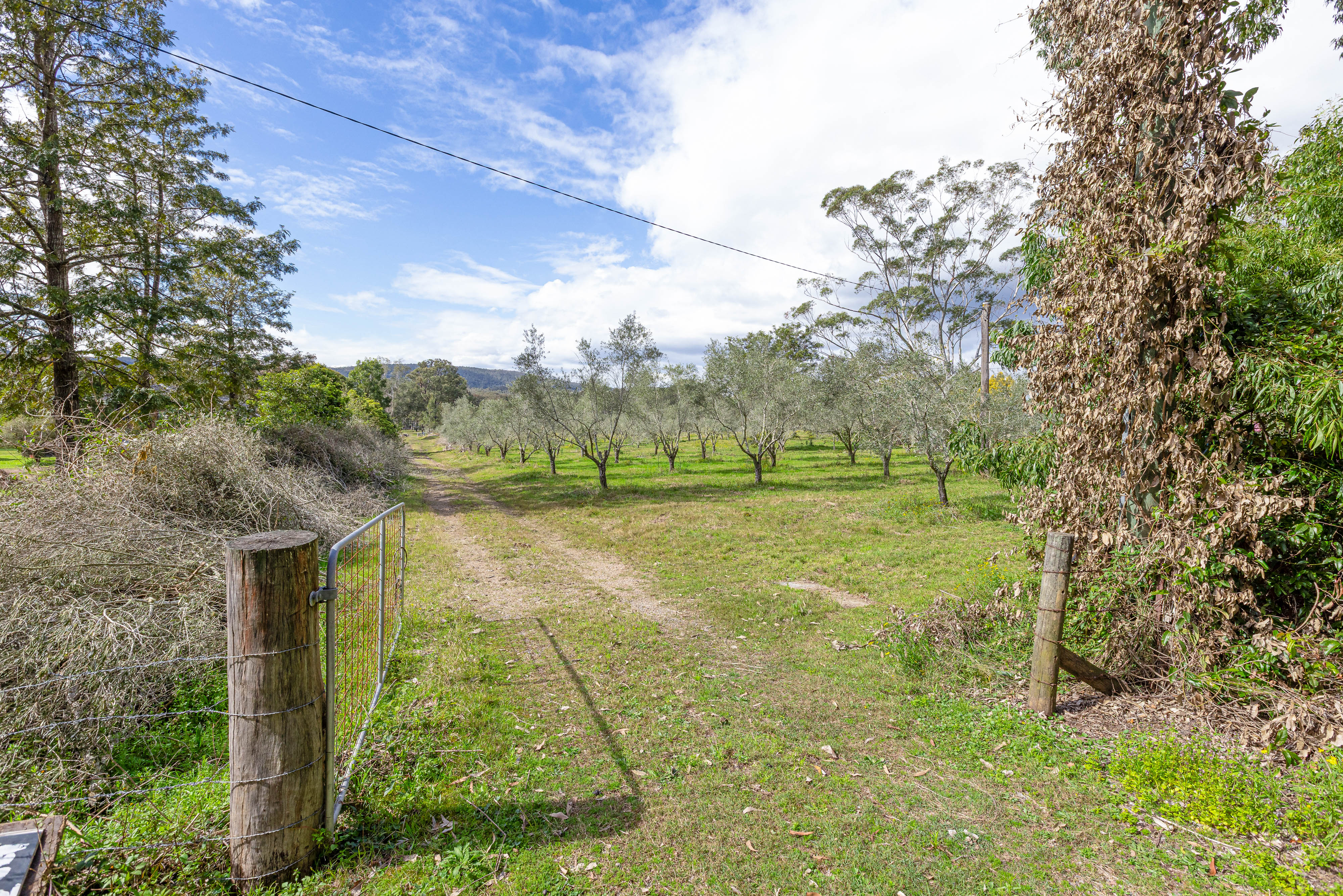 4-bedroom house at 124 Duns Creek Road, Duns Creek, Nsw, 2321, Port Stephens, New South Wales