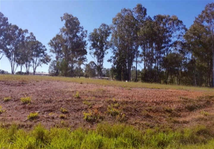 Lot 24 Paulin Park Drive, Tinana, Qld, 4650 - Image 2
