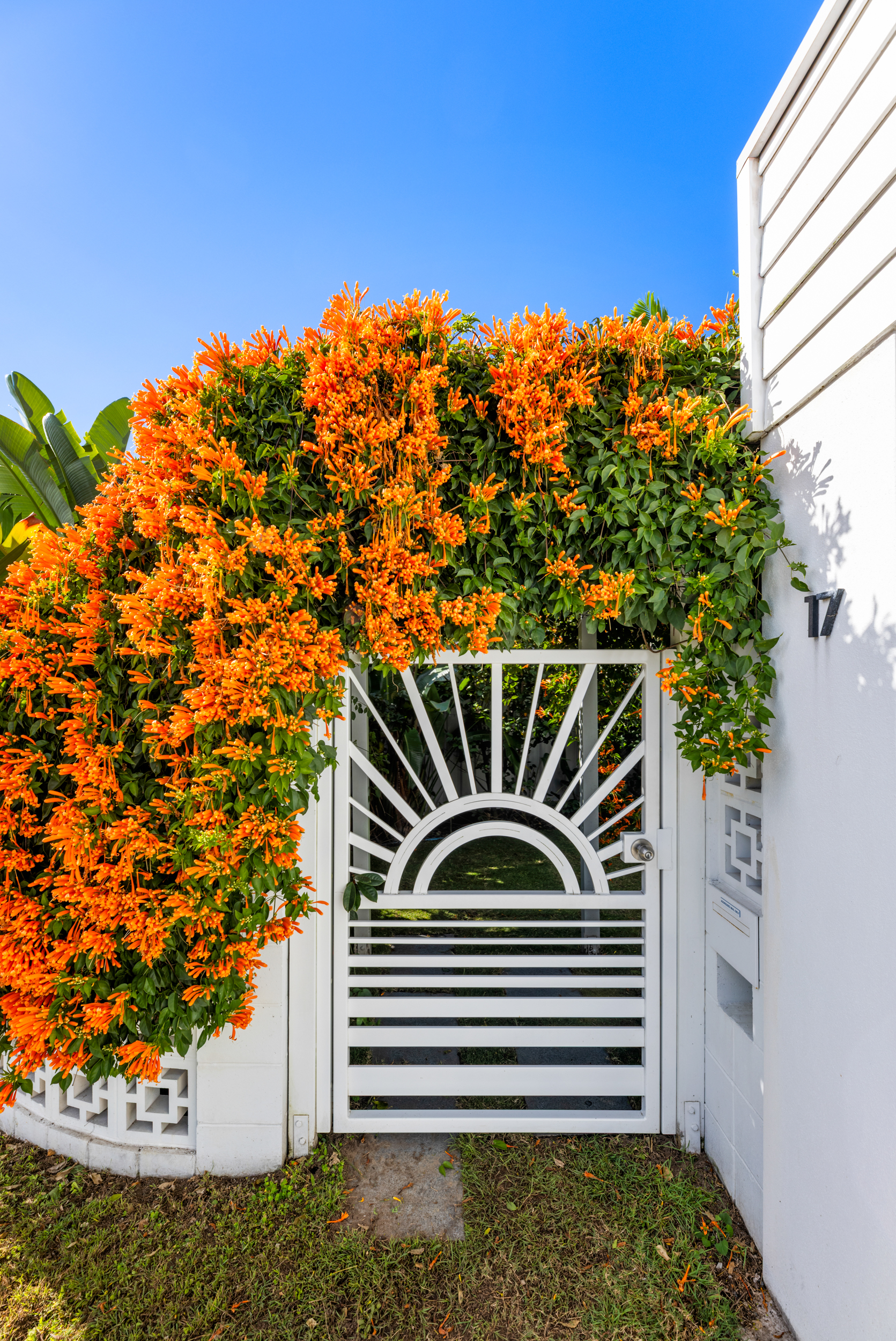 17 PITTA PLACE, Burleigh Waters QLD 4220 - Image 3