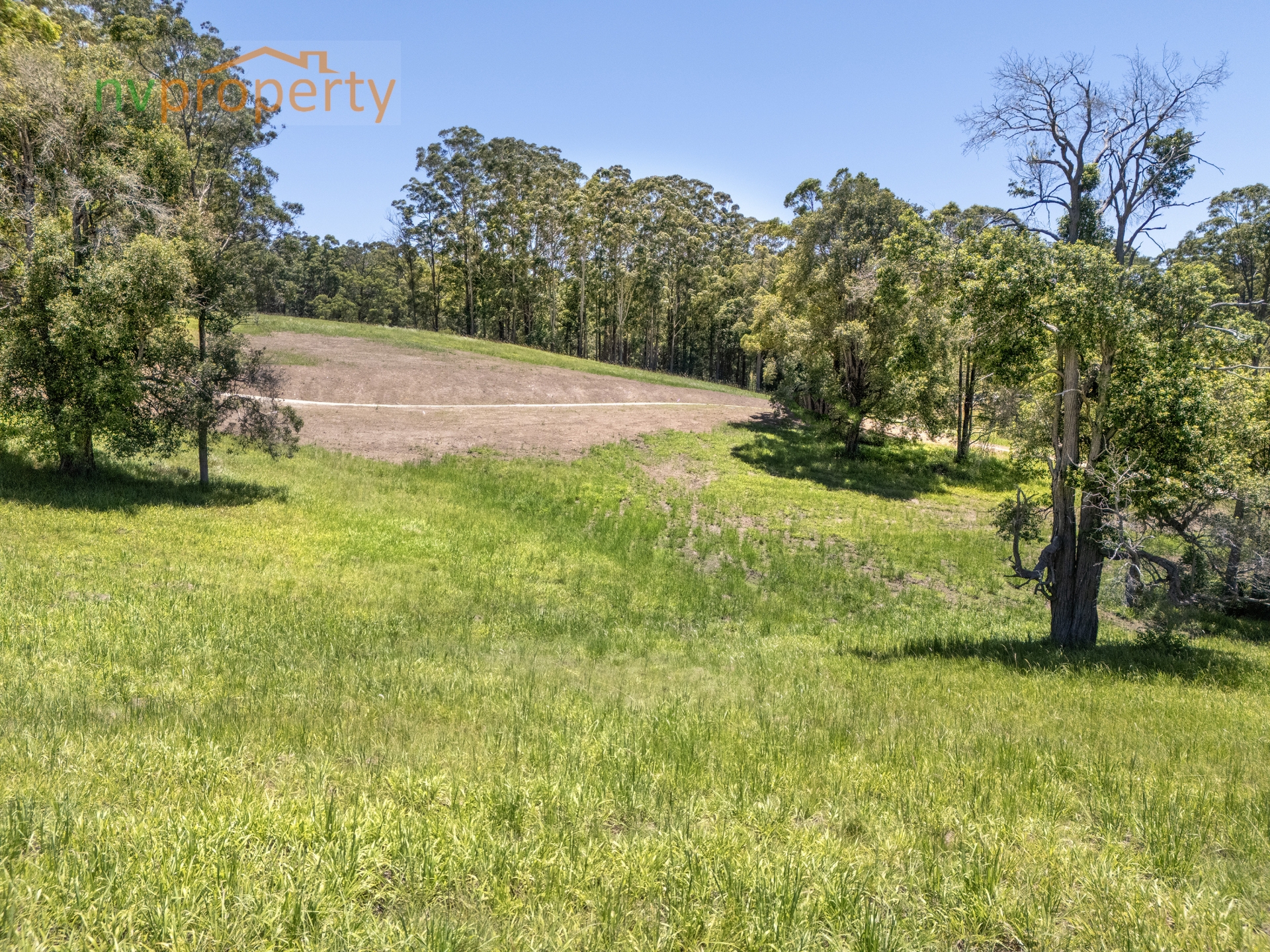Lot 3 -14 Irvines  Road, Newee Creek, Nsw, 2447 - Image 4