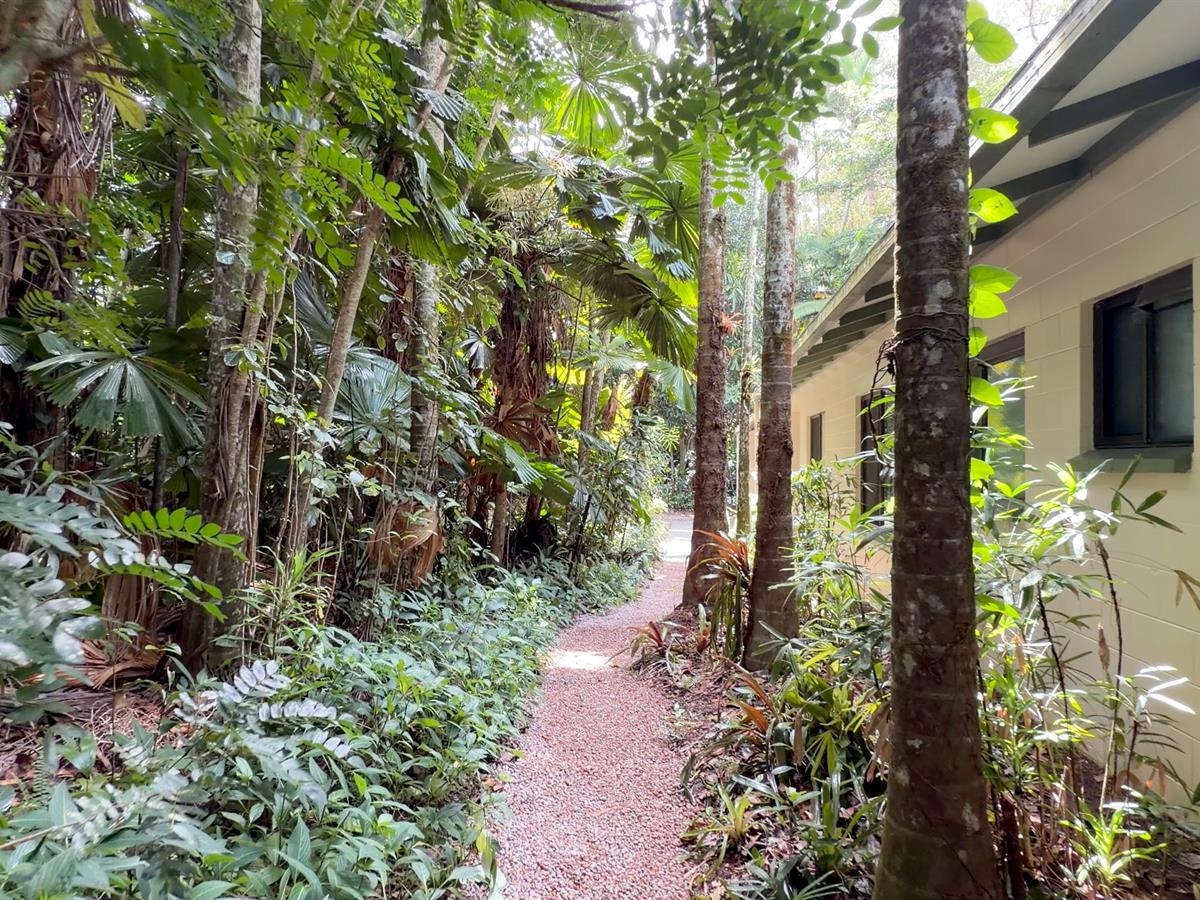 3-bedroom house at 3 KURRAJONG CLOSE, Wongaling Beach QLD 4852, Cassowary Coast, Queensland