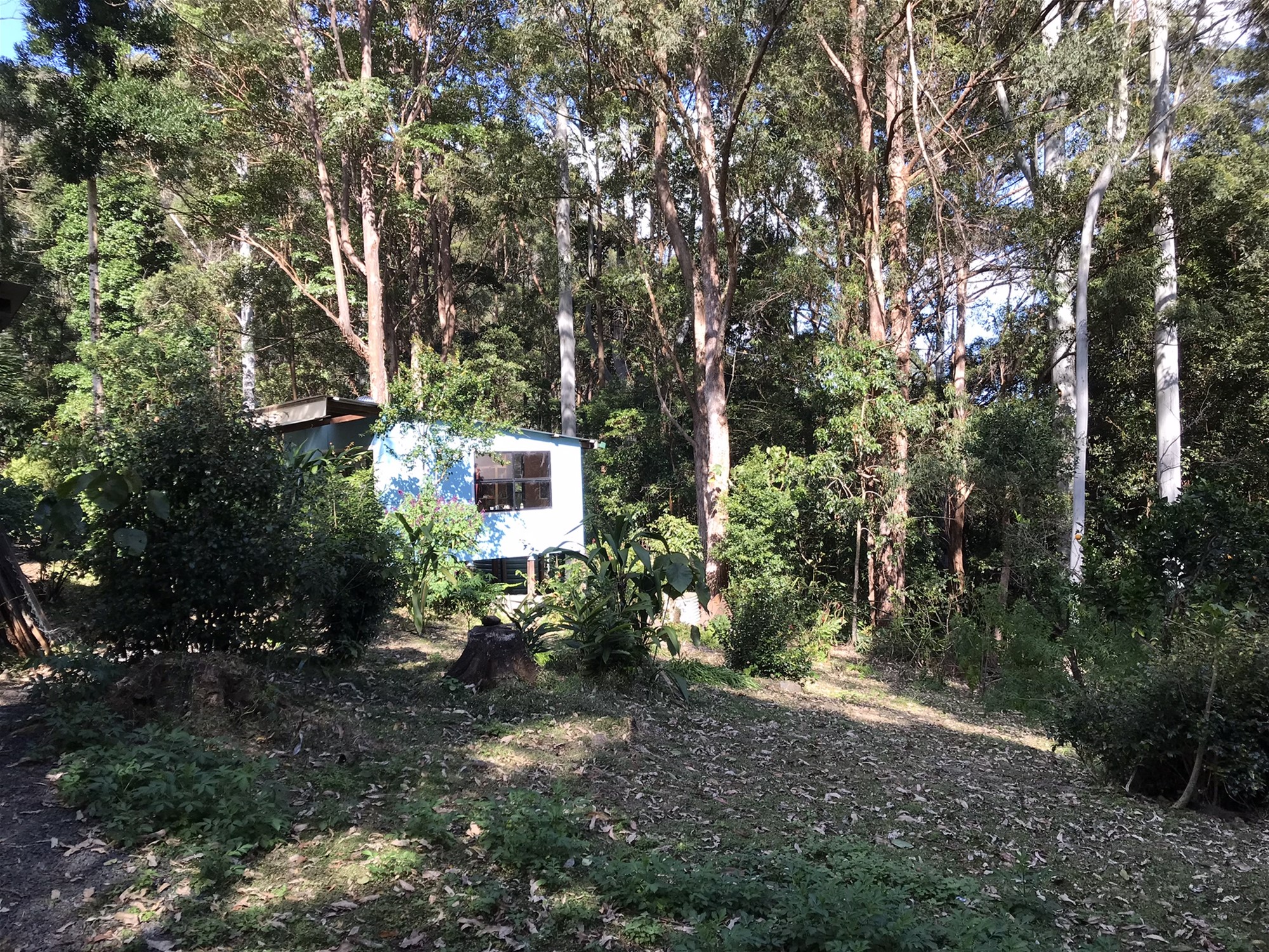 904 Blue Knob Road, Nimbin, Nsw, 2480 - Image 7